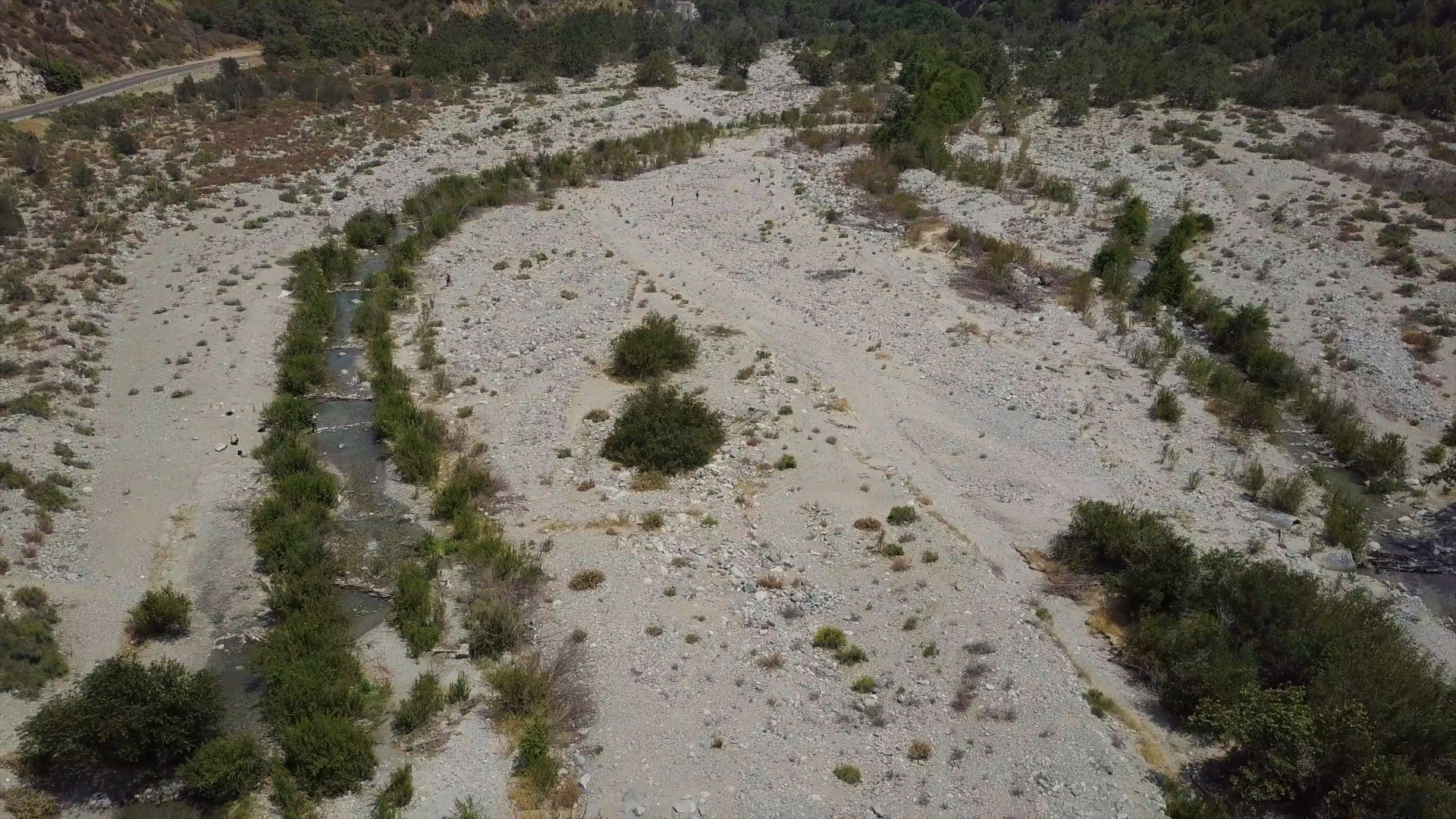 Member content 1 of 33