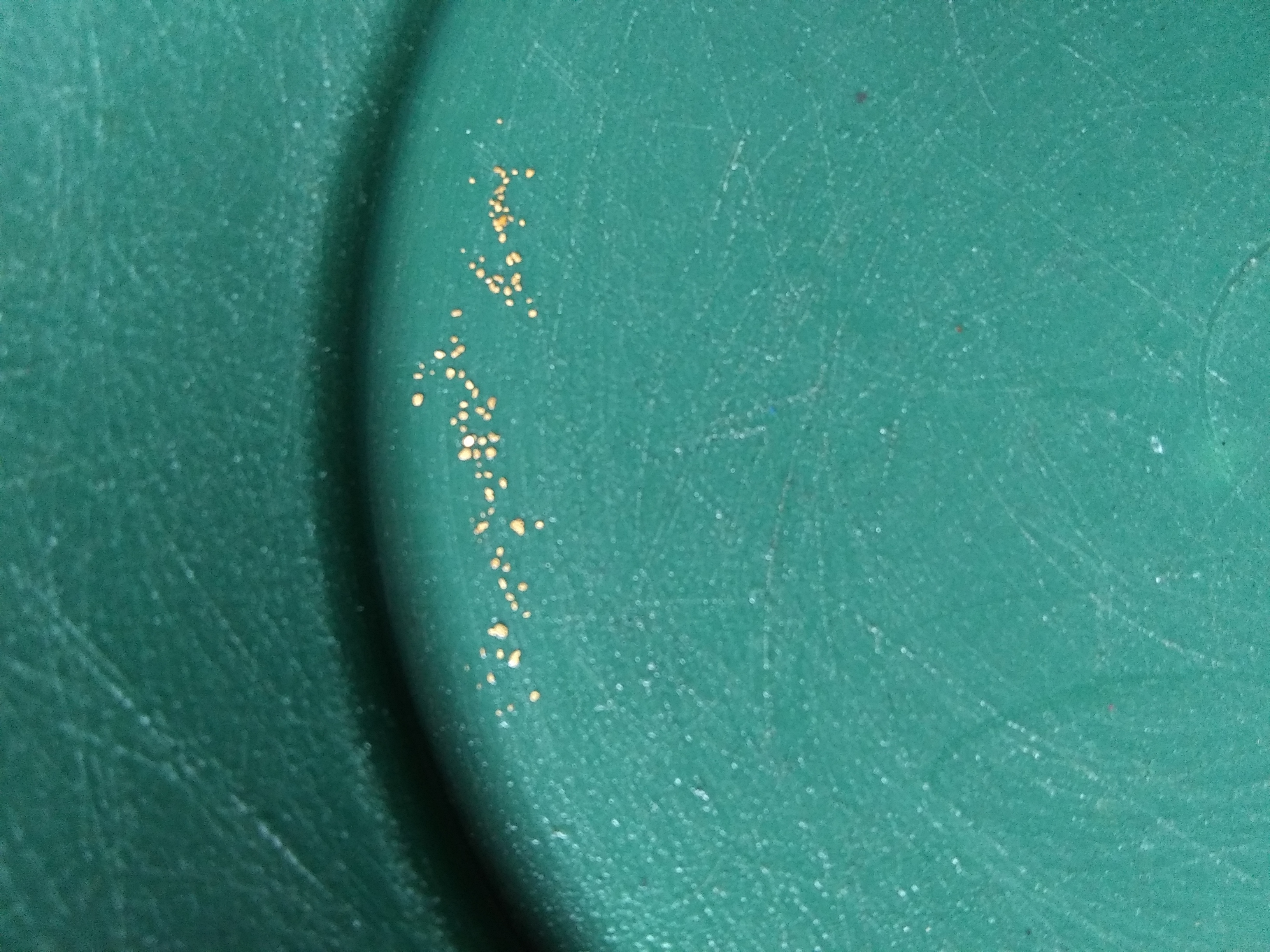 Member content 4 of 11