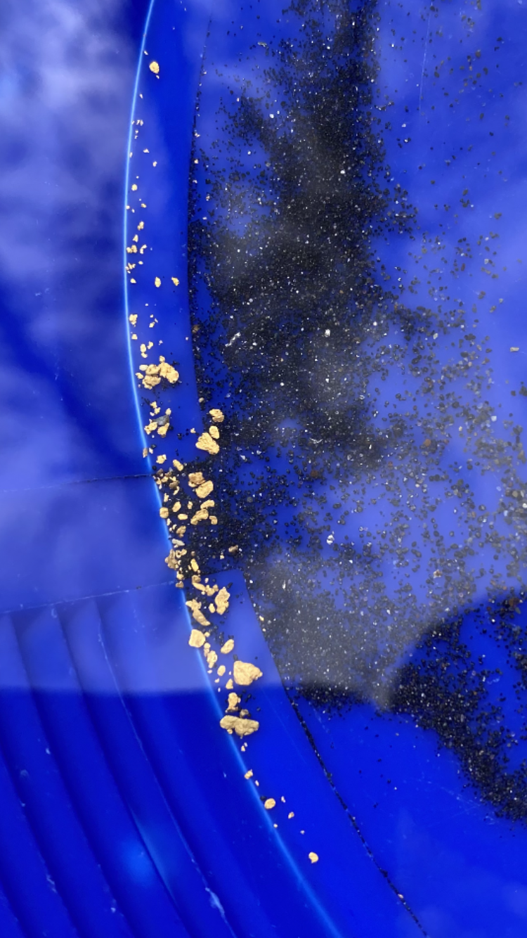 Member content 1 of 3