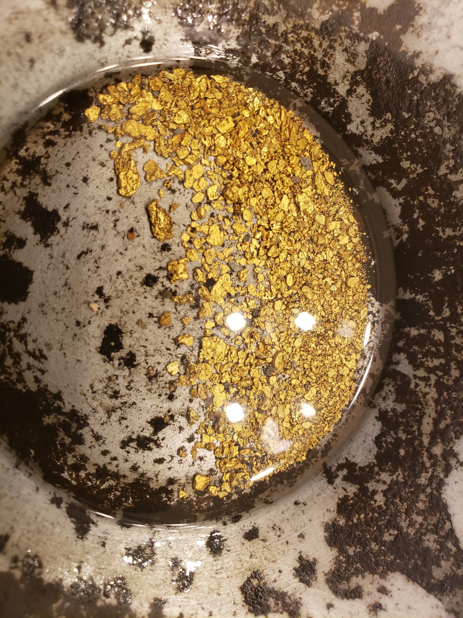 Member content 169 of 206