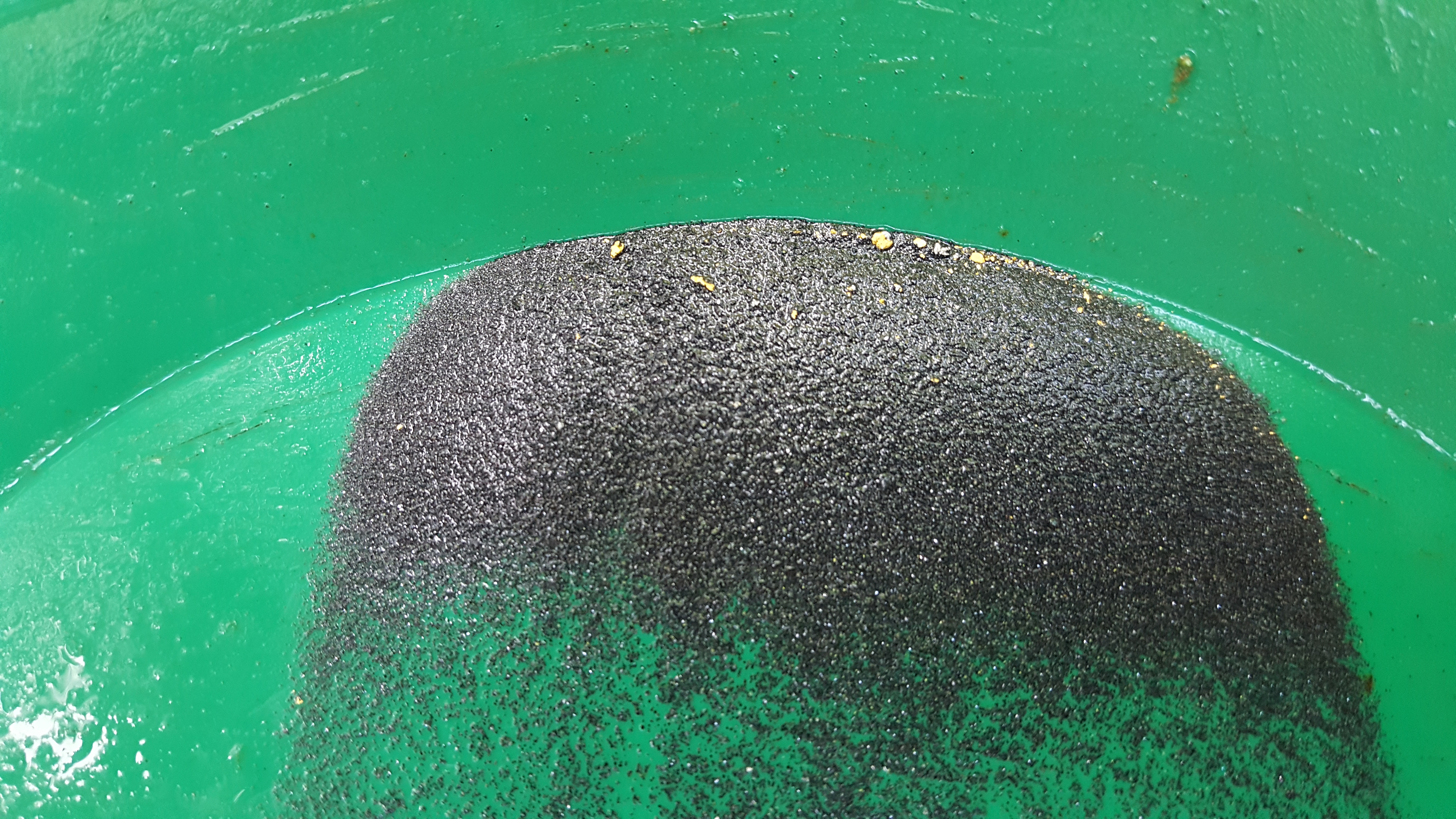 Member content 1 of 21