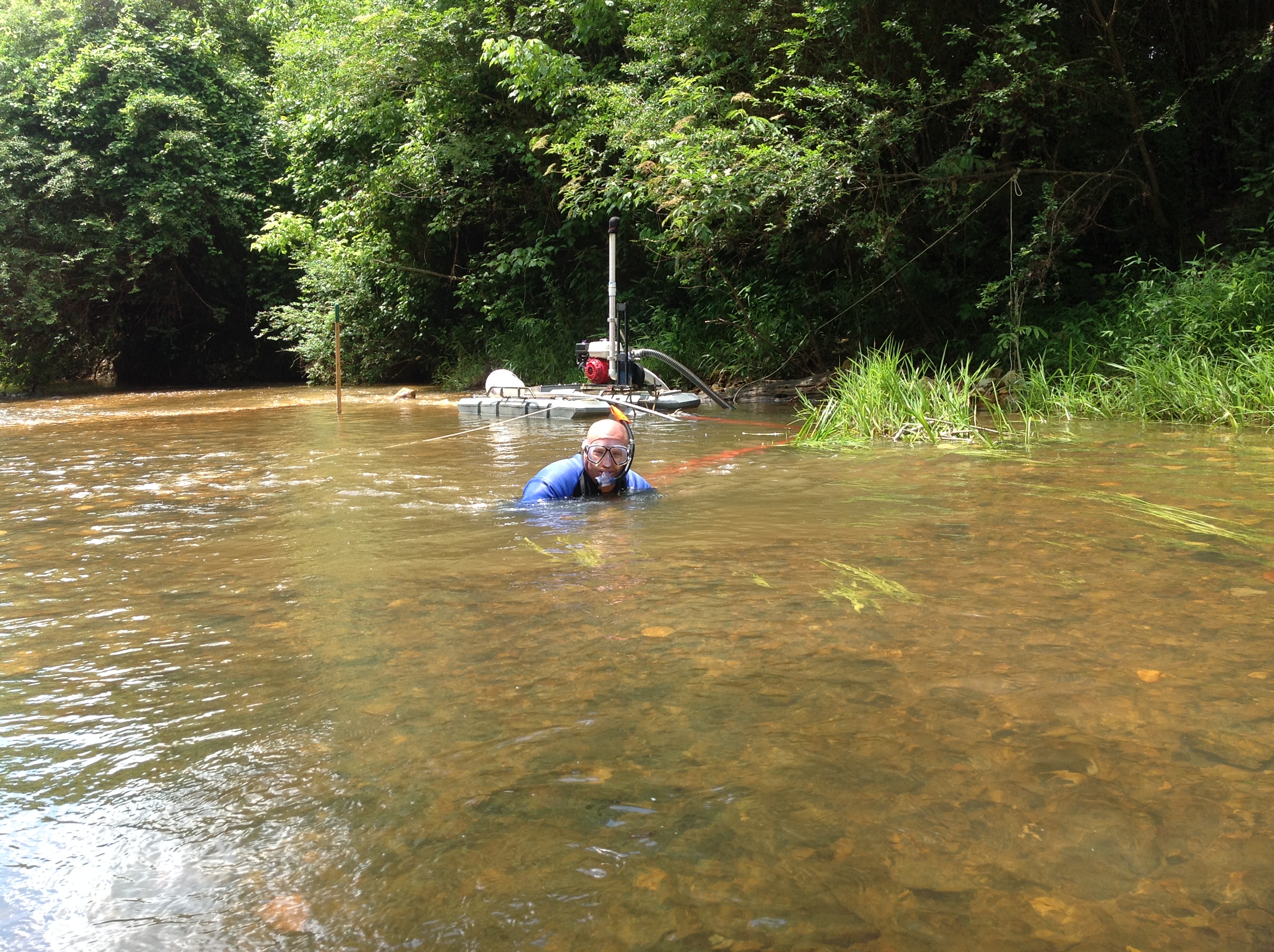 Member content 2 of 21