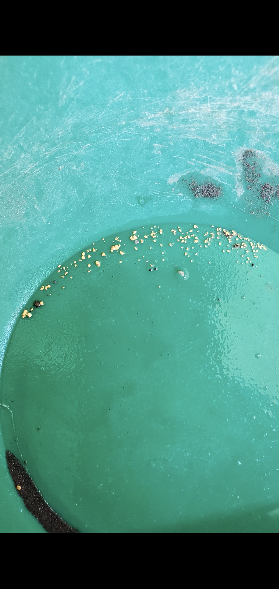 Member content 18 of 41