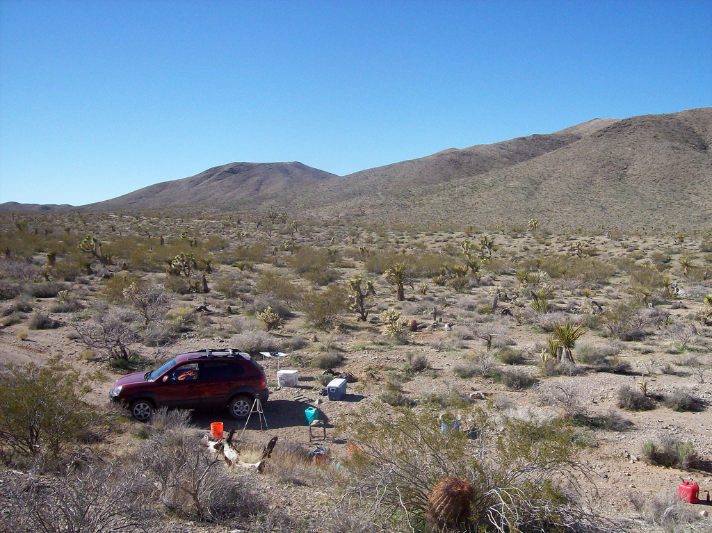 Member content 9 of 12