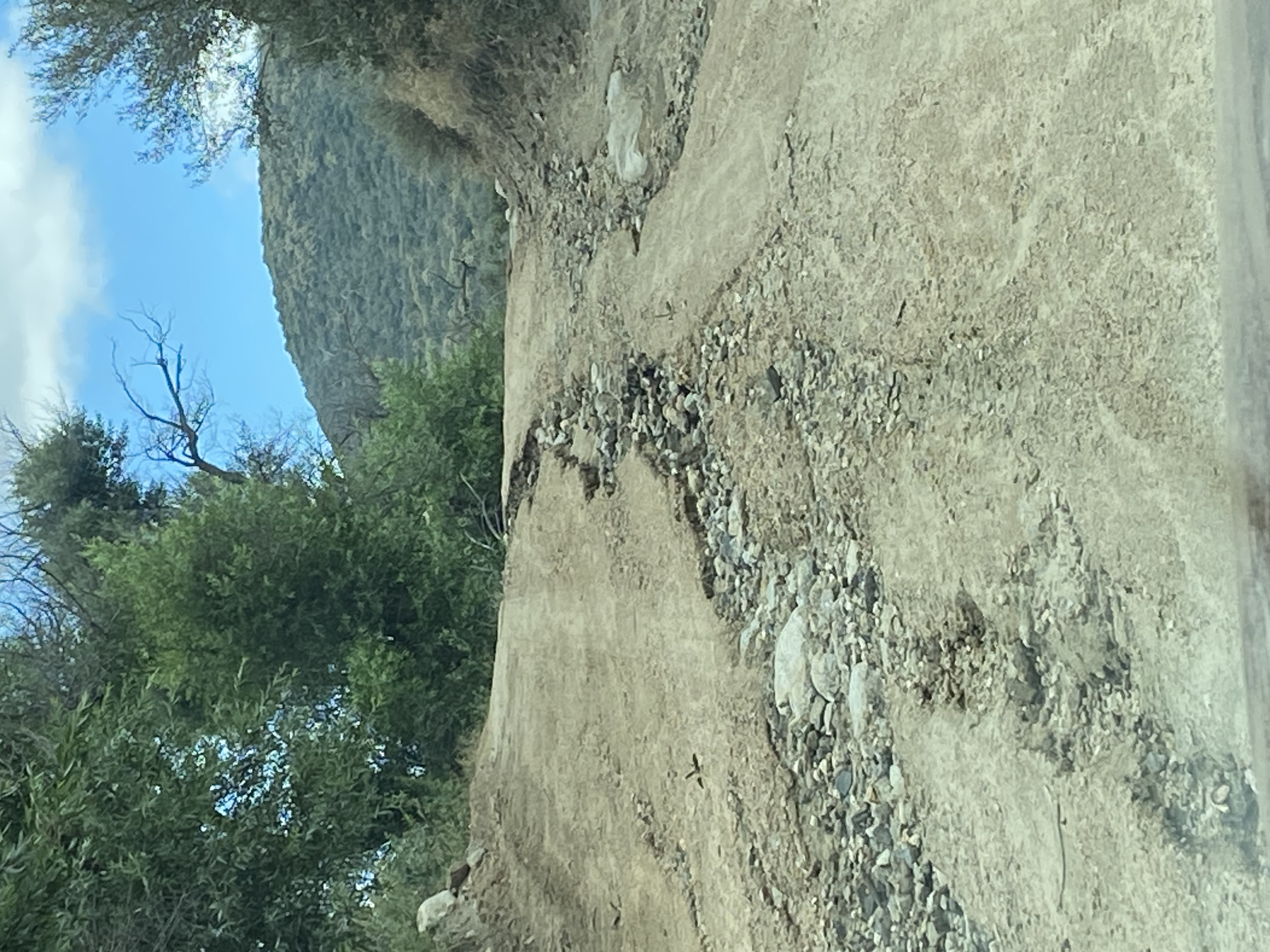 Member content 15 of 27