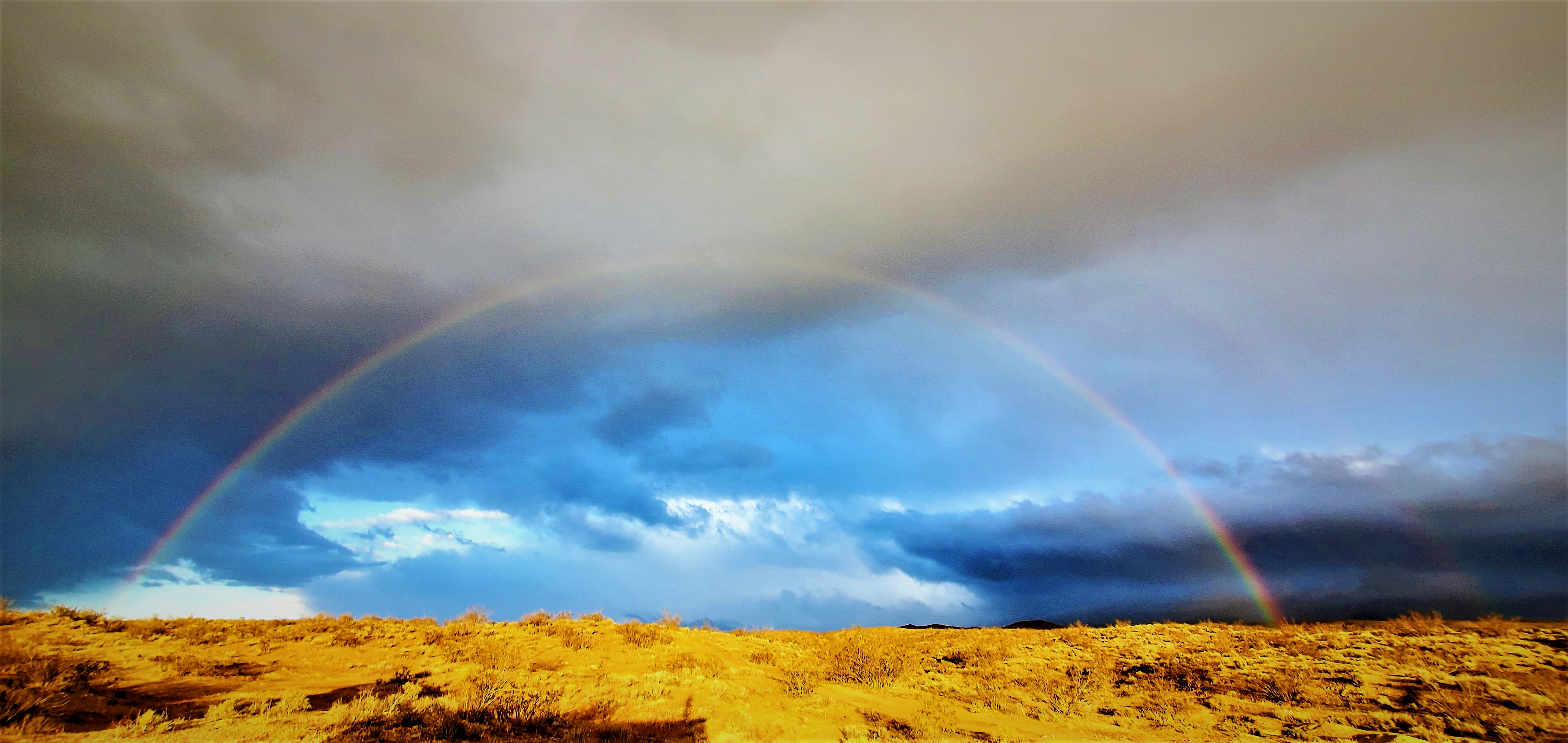 Member content 49 of 206