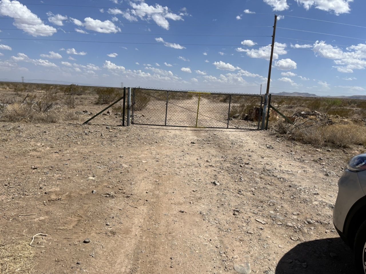 Member content 14 of 21