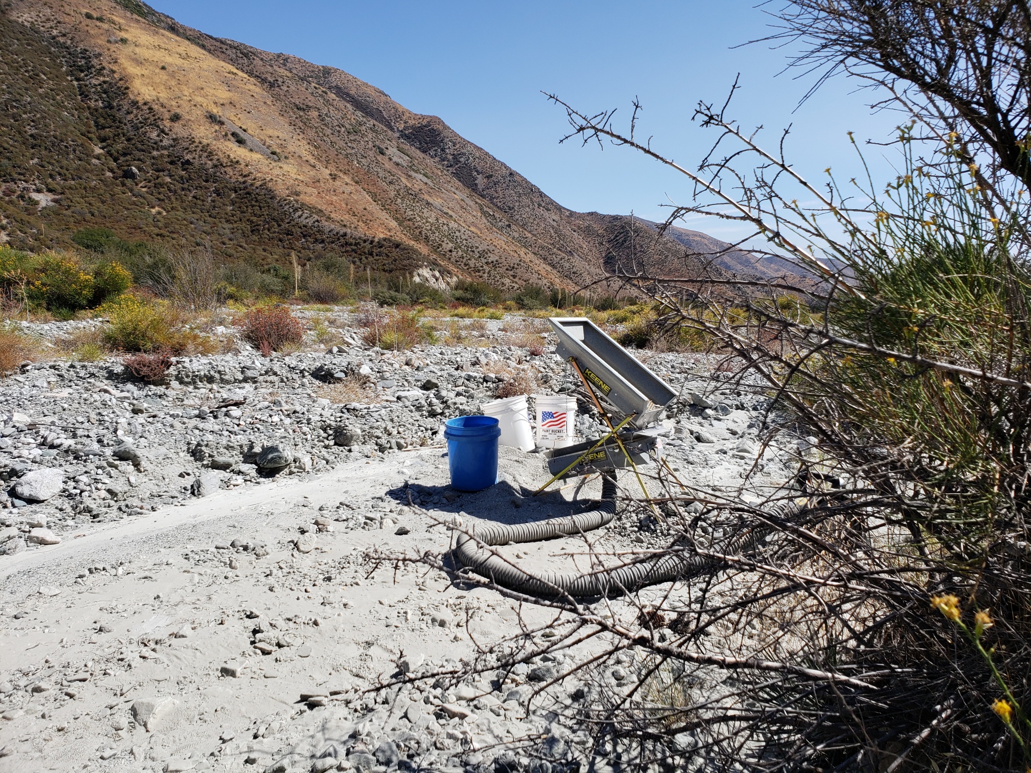 Member content 10 of 33