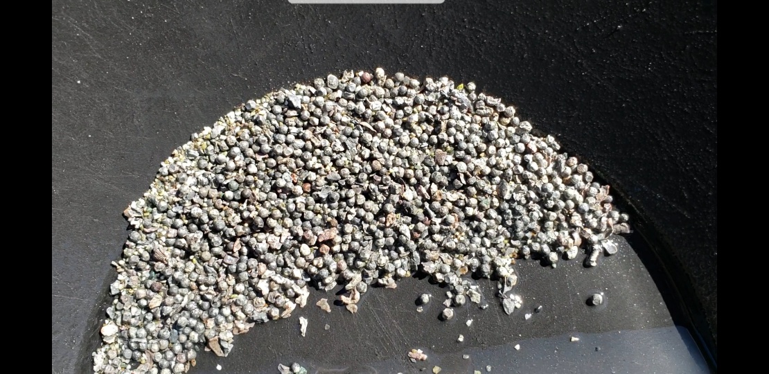 Member content 12 of 33