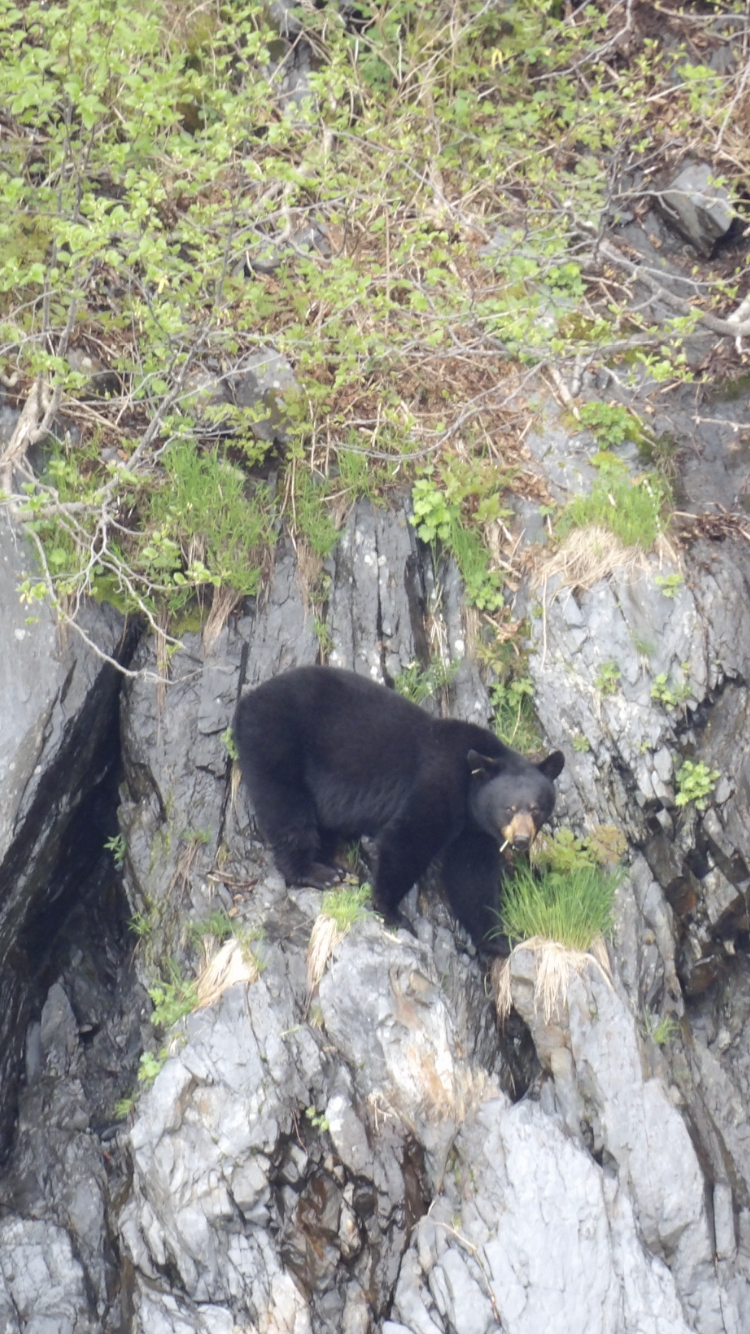 Member content 3 of 5