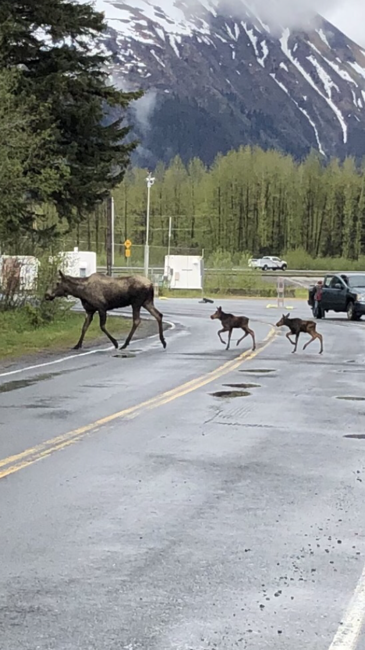 Member content 4 of 5