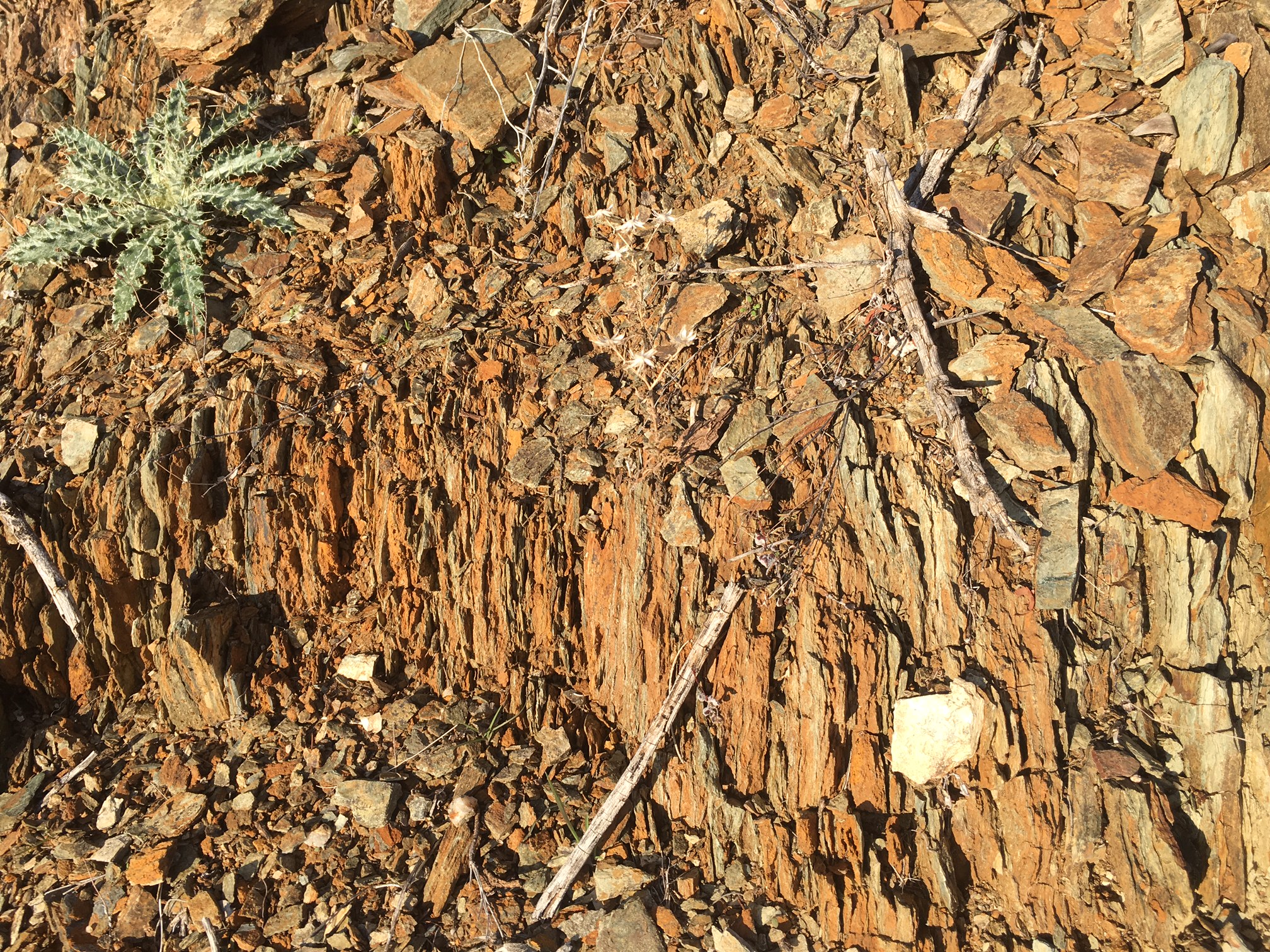 Member content 1 of 25