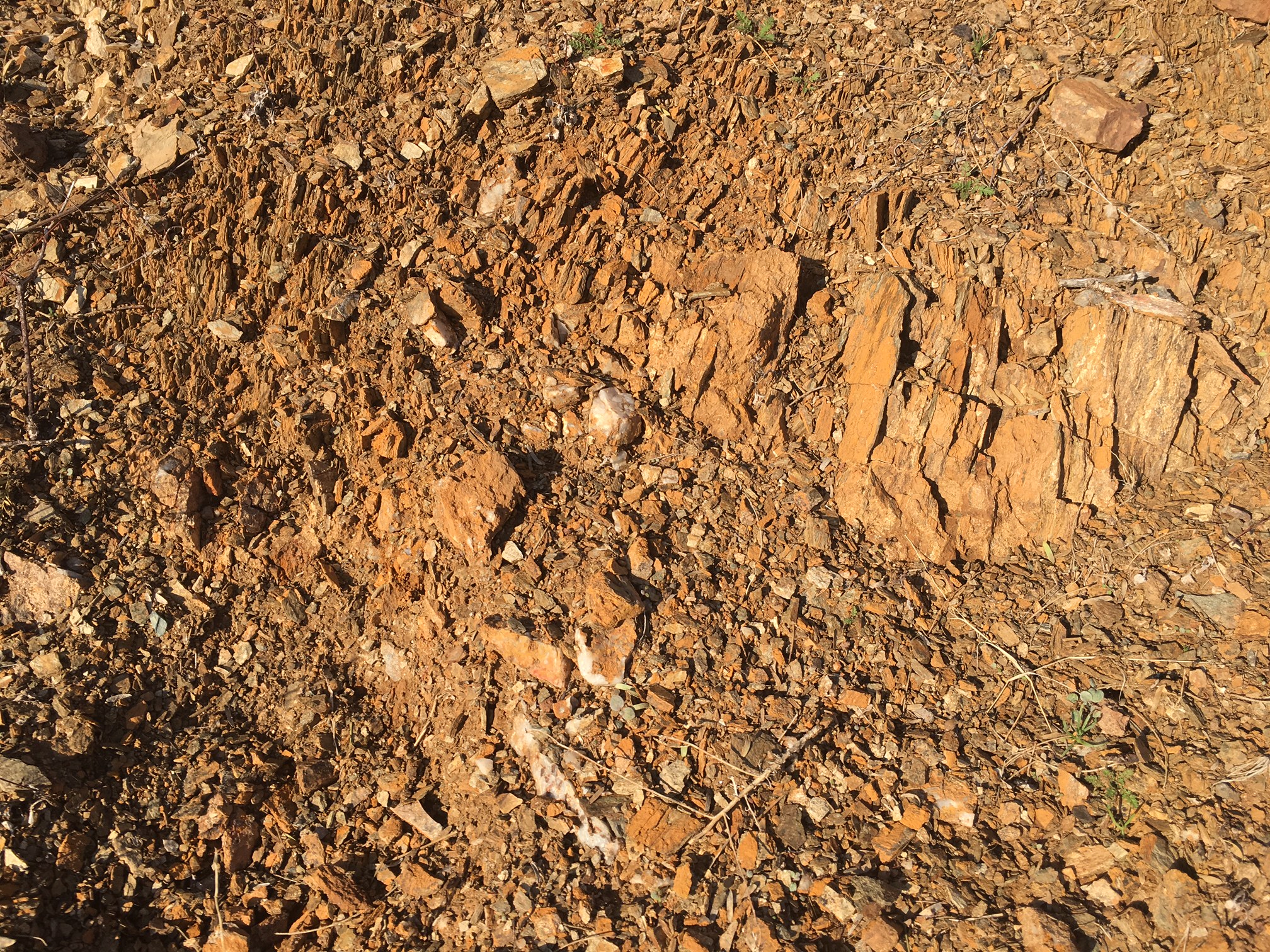 Member content 2 of 25