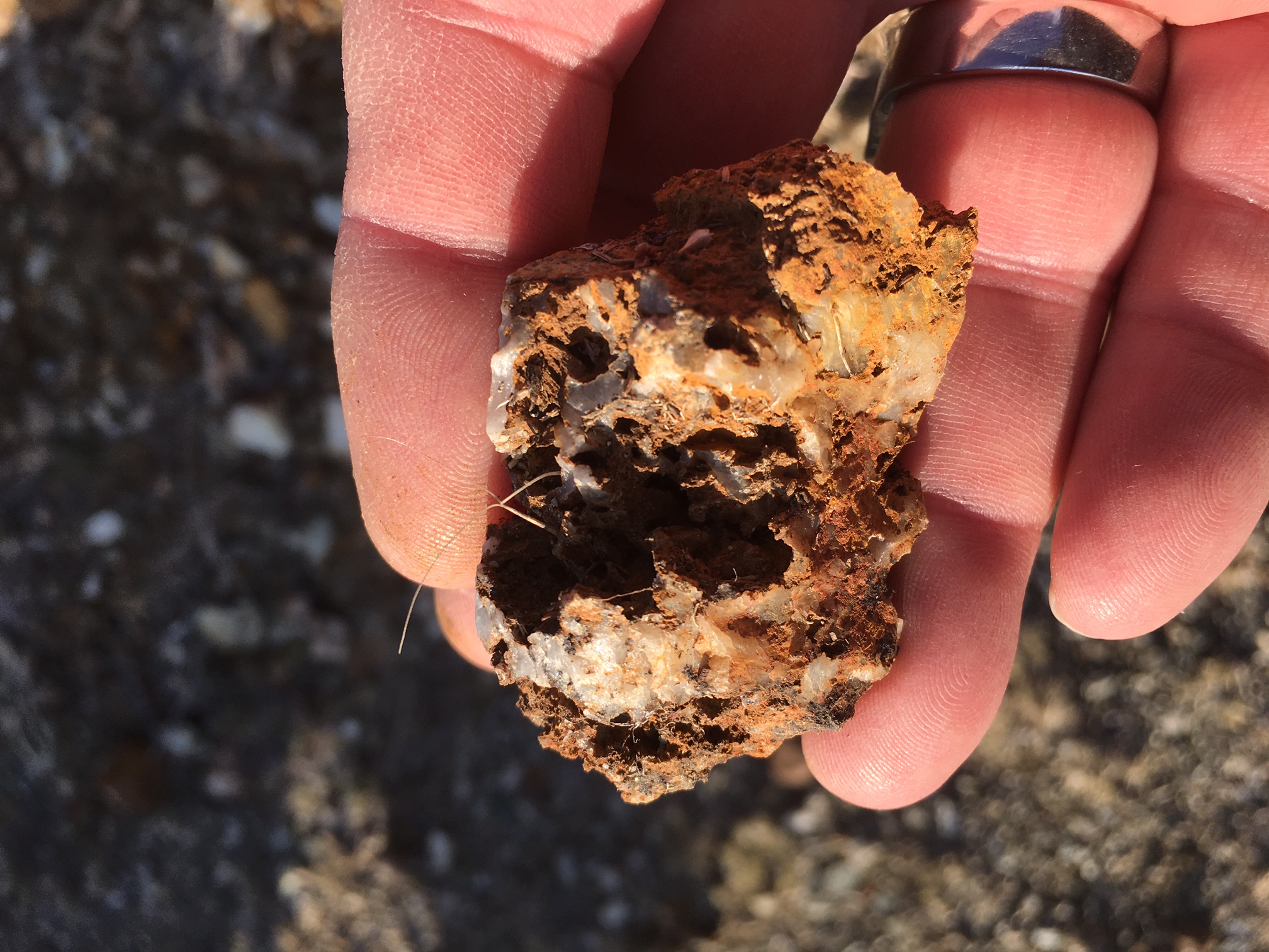 Member content 3 of 25