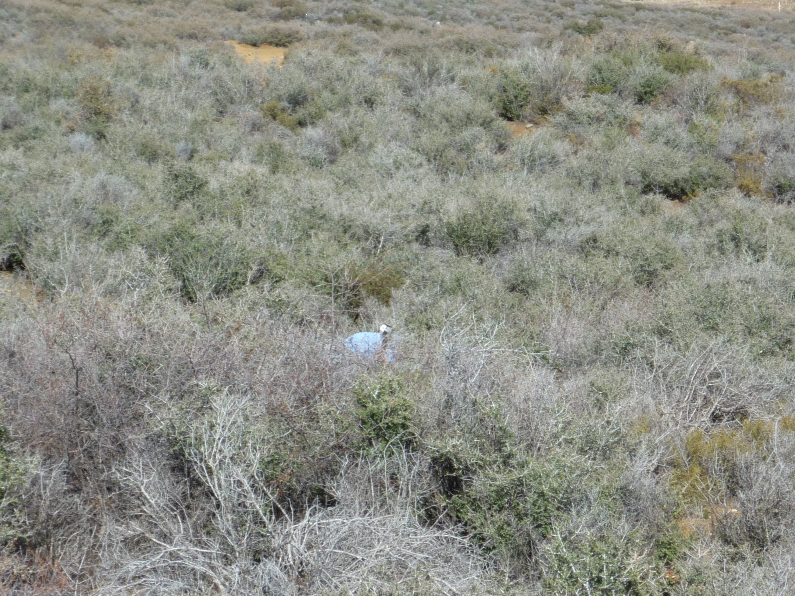 Member content 5 of 25