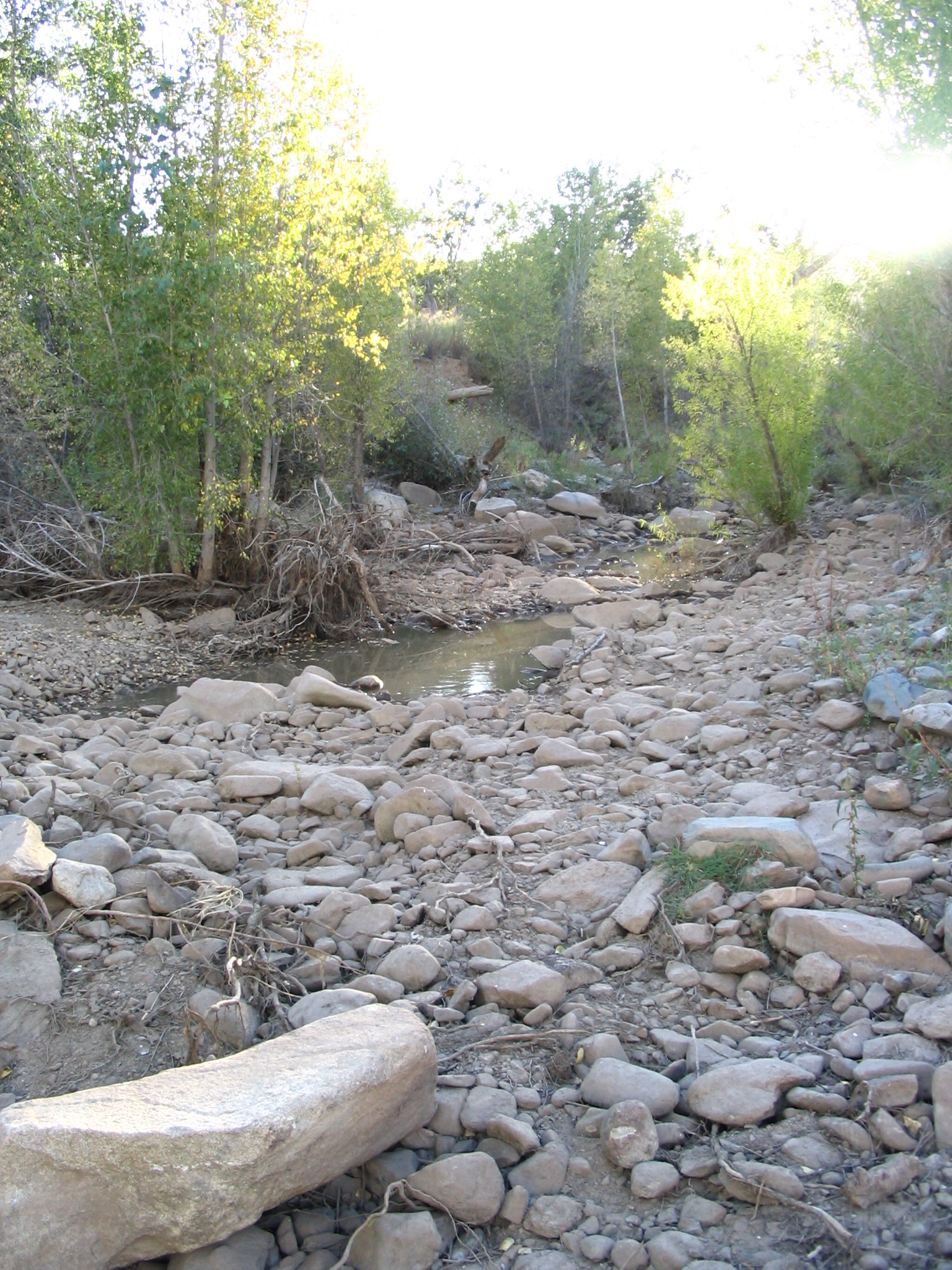 Member content 6 of 25