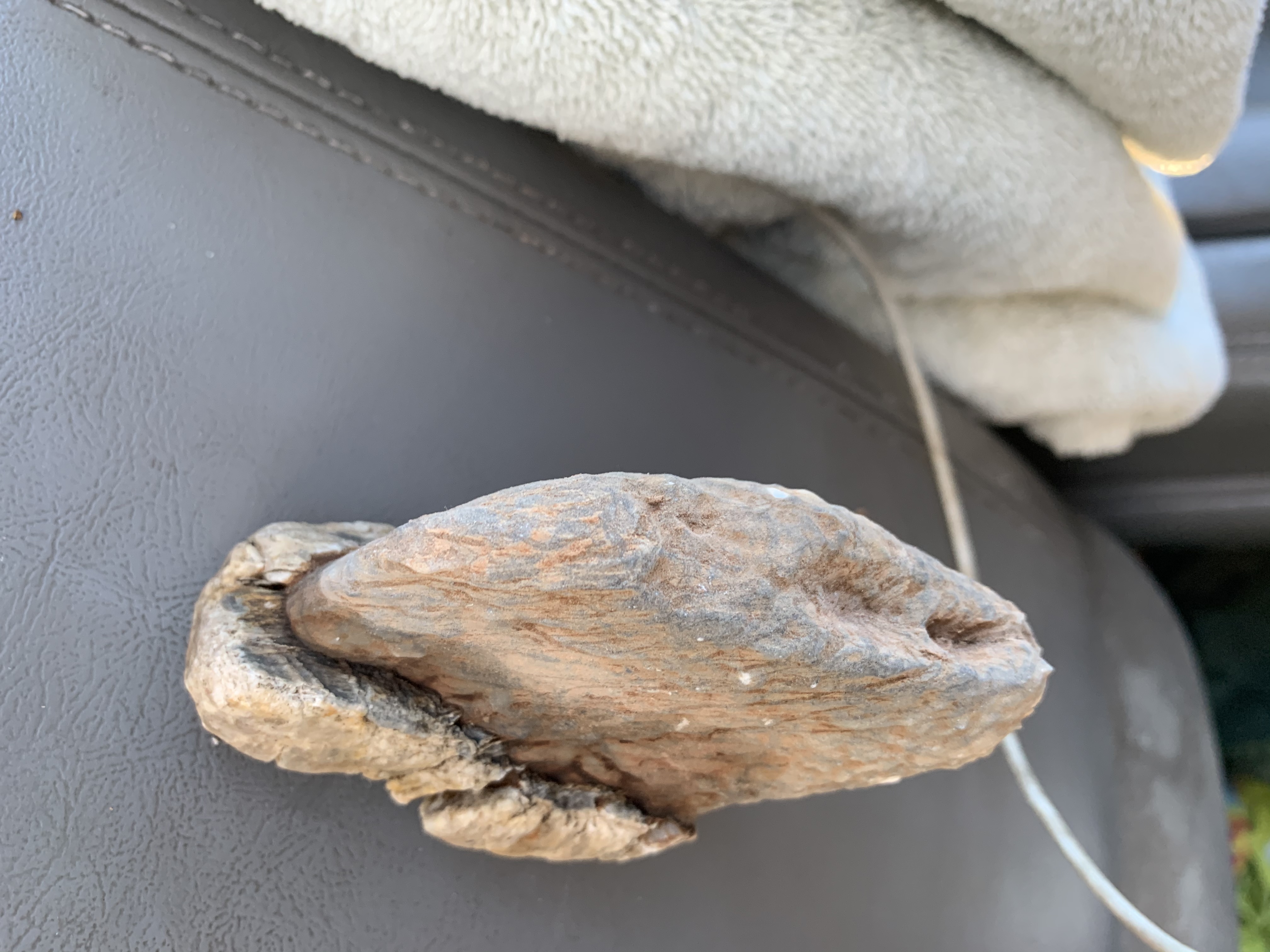 Member content 4 of 6