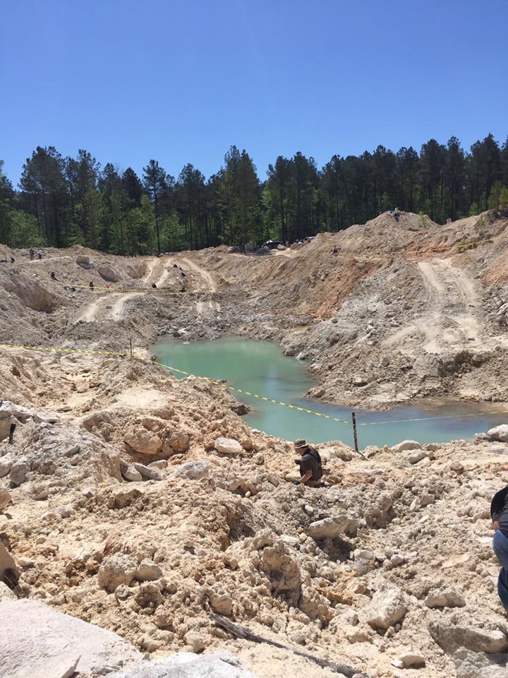 Member content 1 of 1