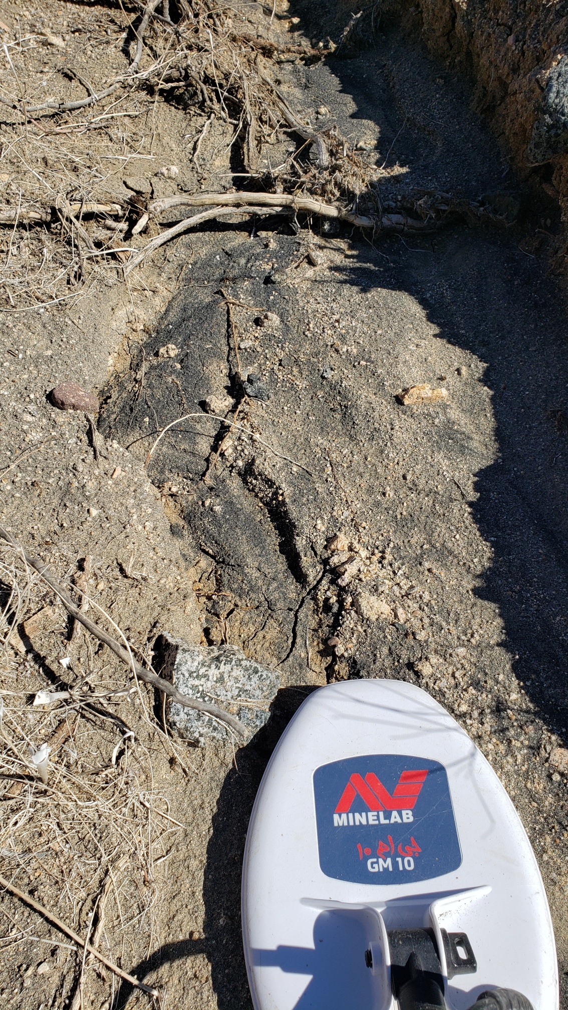 Member content 9 of 13