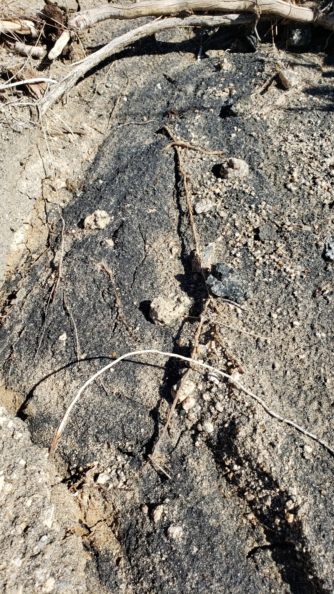 Member content 10 of 13