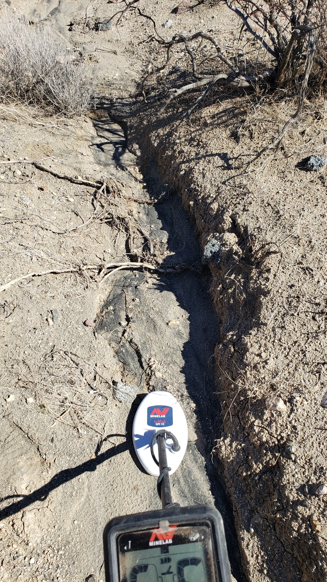 Member content 11 of 13