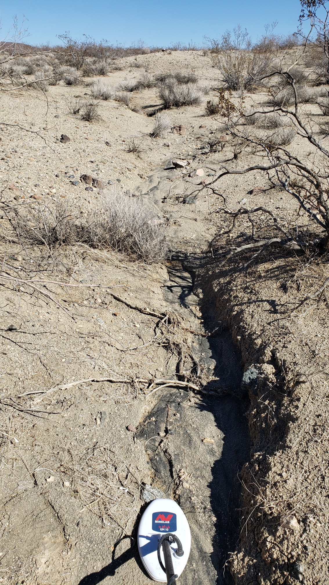 Member content 12 of 13