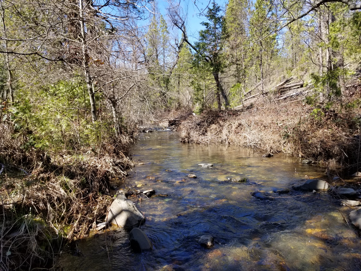 Member content 2 of 15