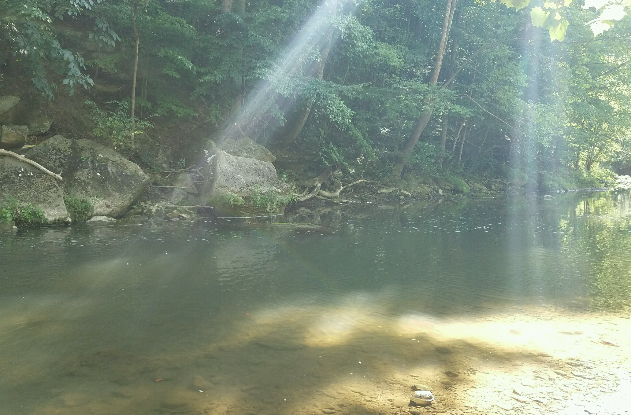 Member content 2 of 11