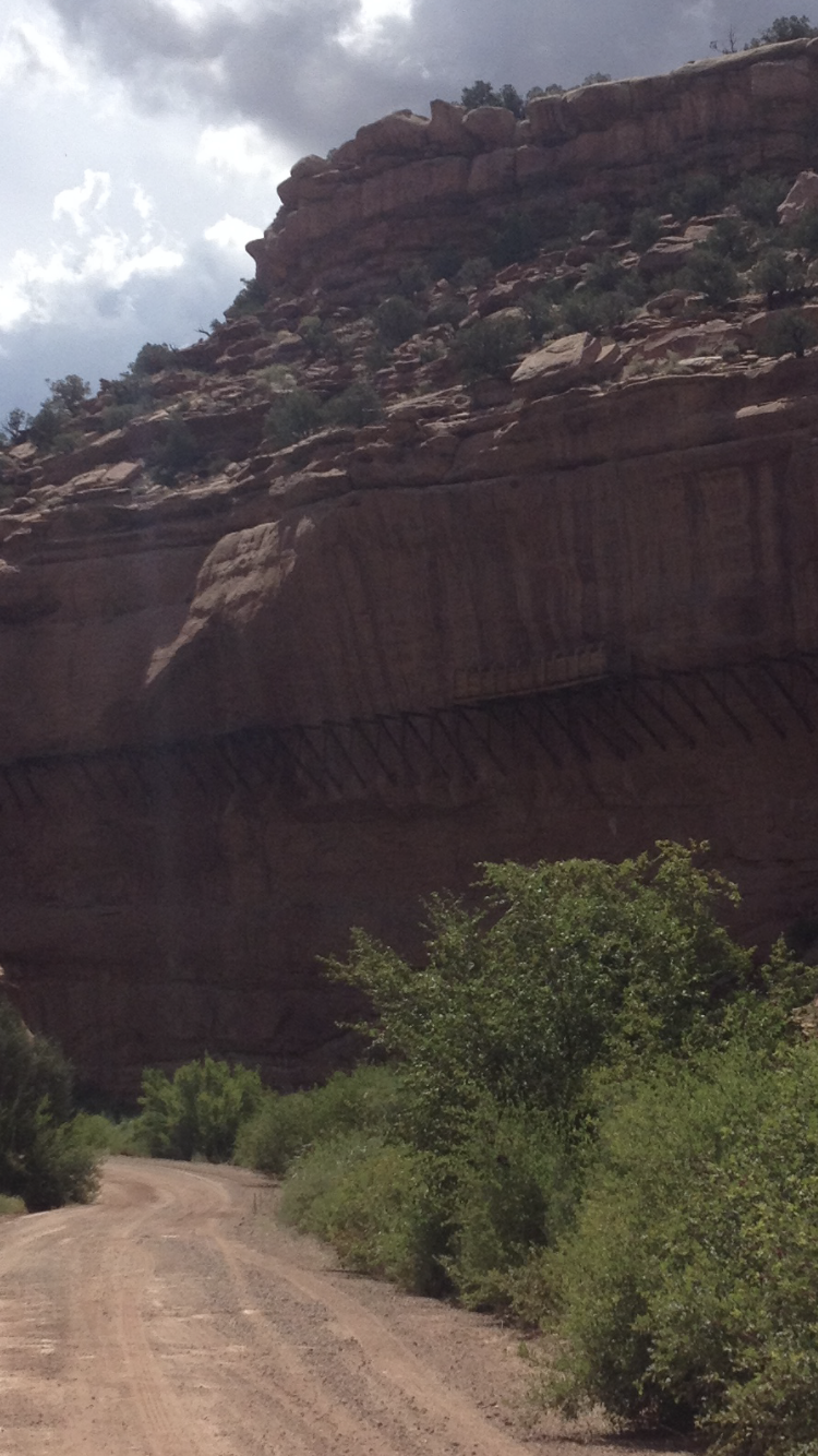 Member content 1 of 3