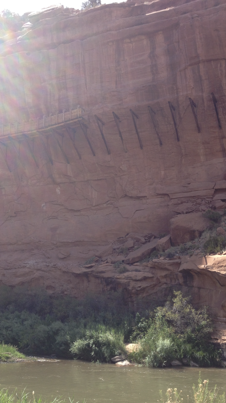 Member content 2 of 3