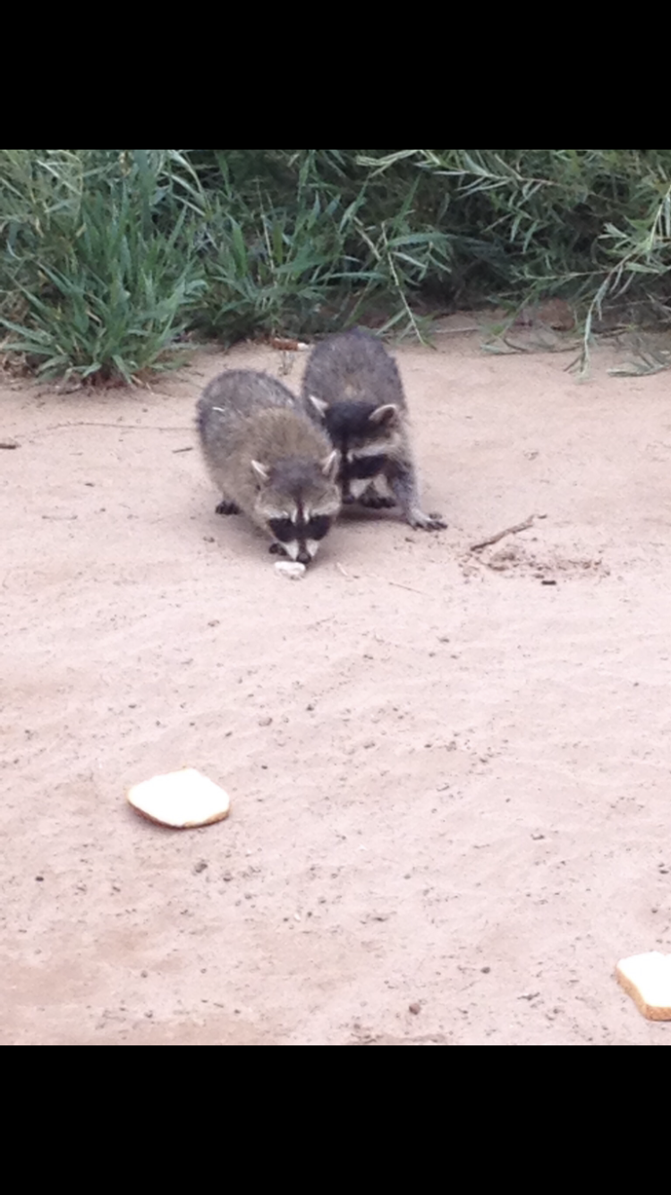 Member content 3 of 3