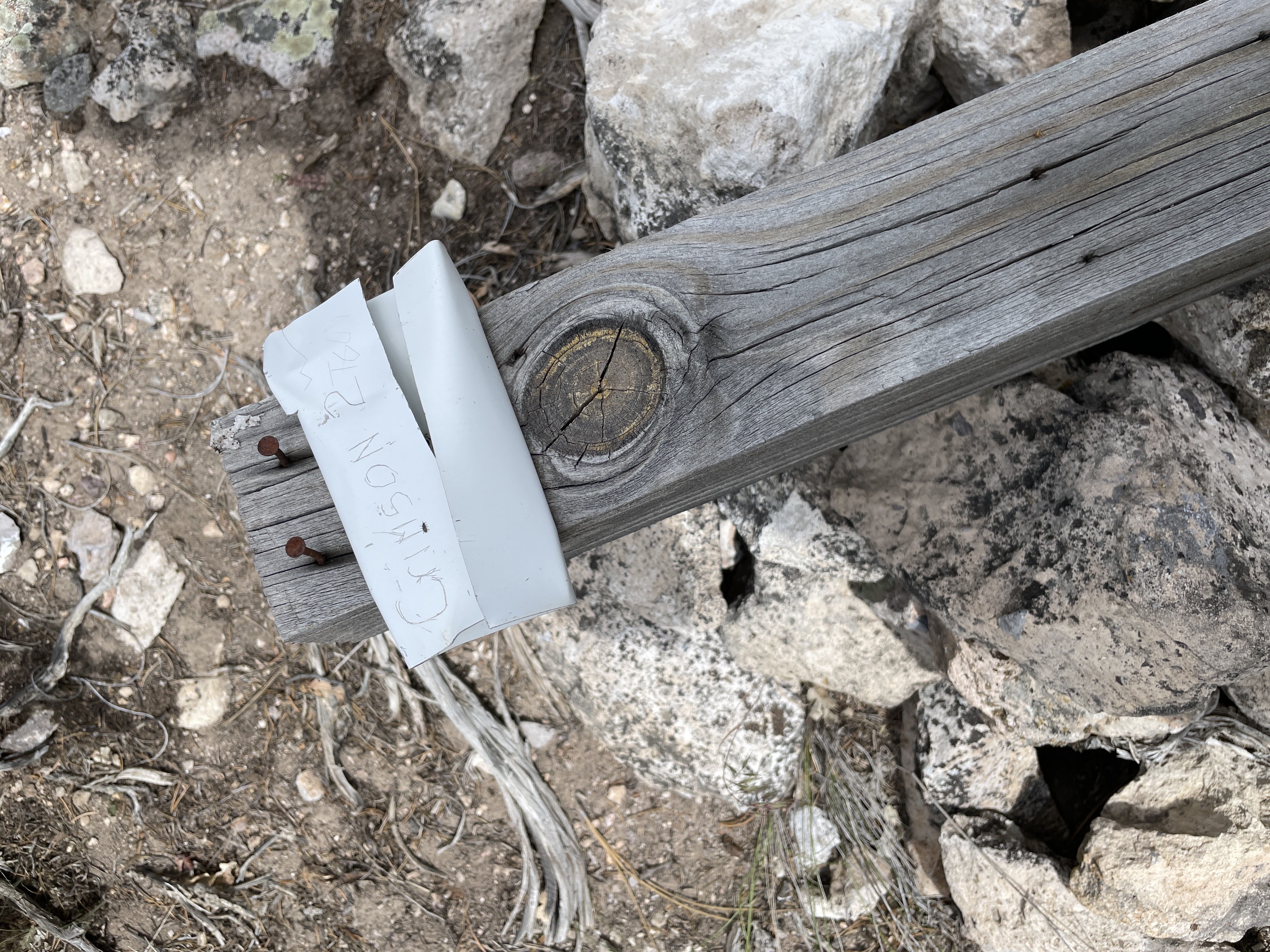 Member content 11 of 22