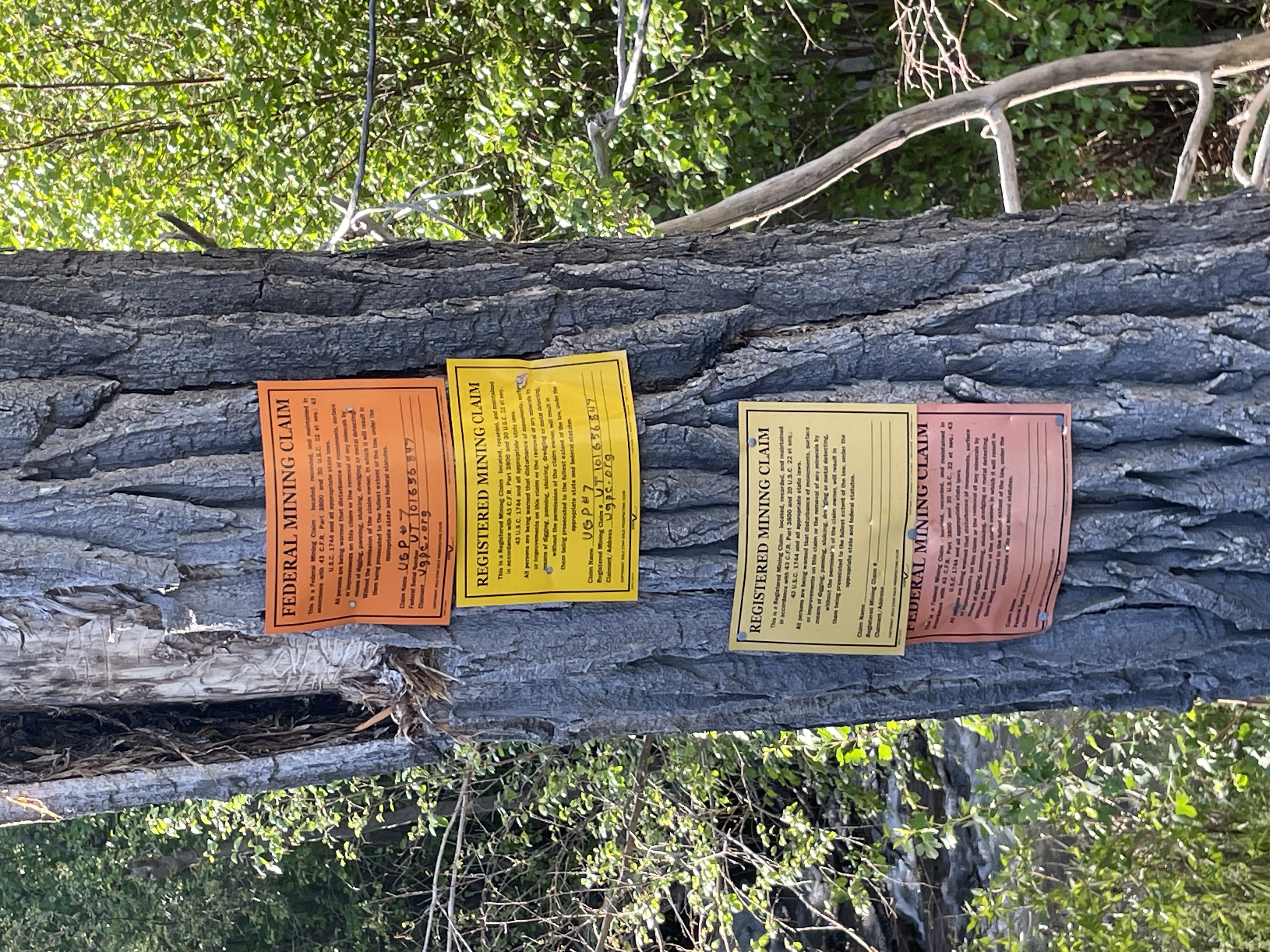 Member content 12 of 22