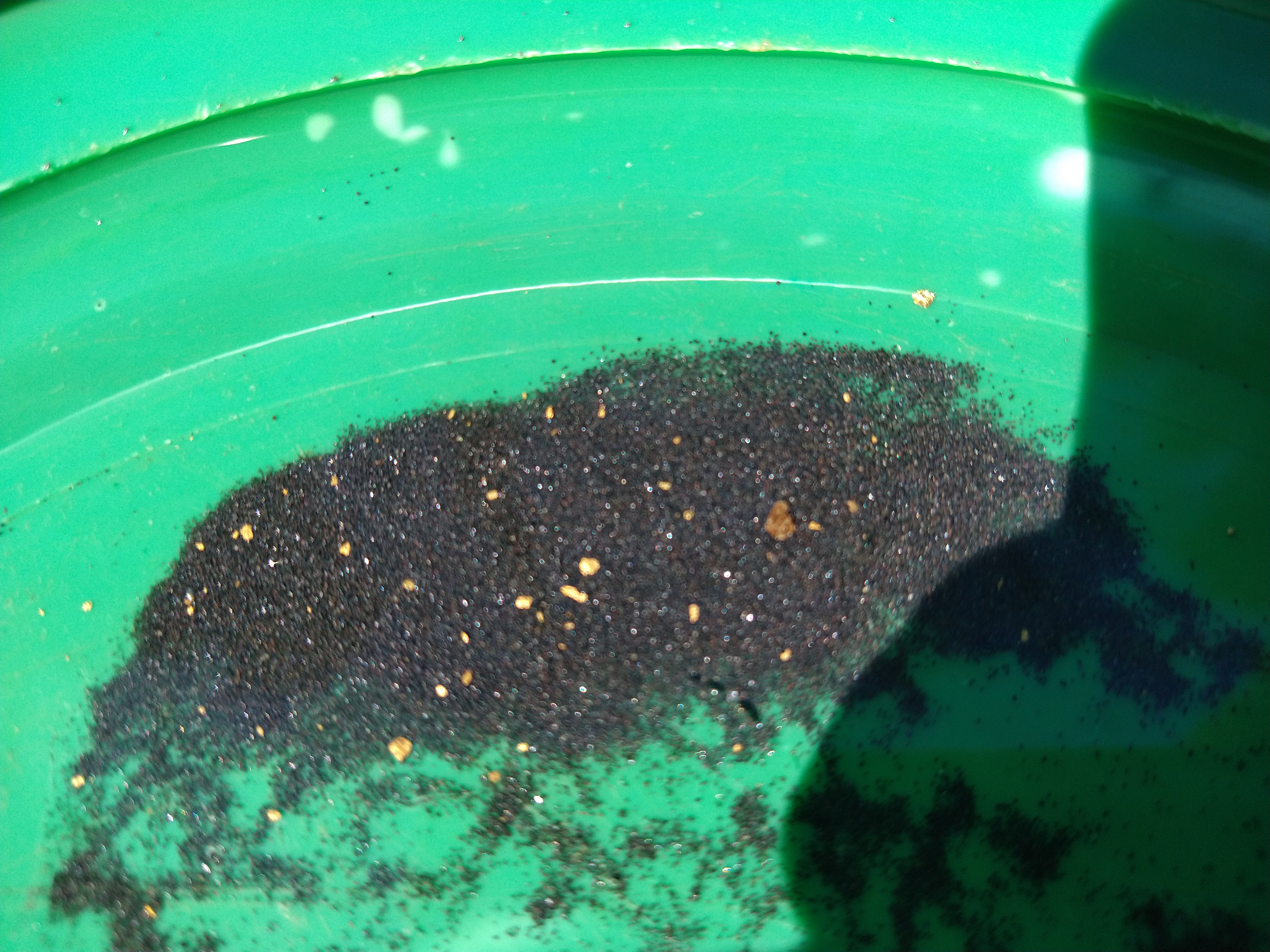 Member content 8 of 12