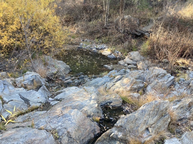 Member content 4 of 10