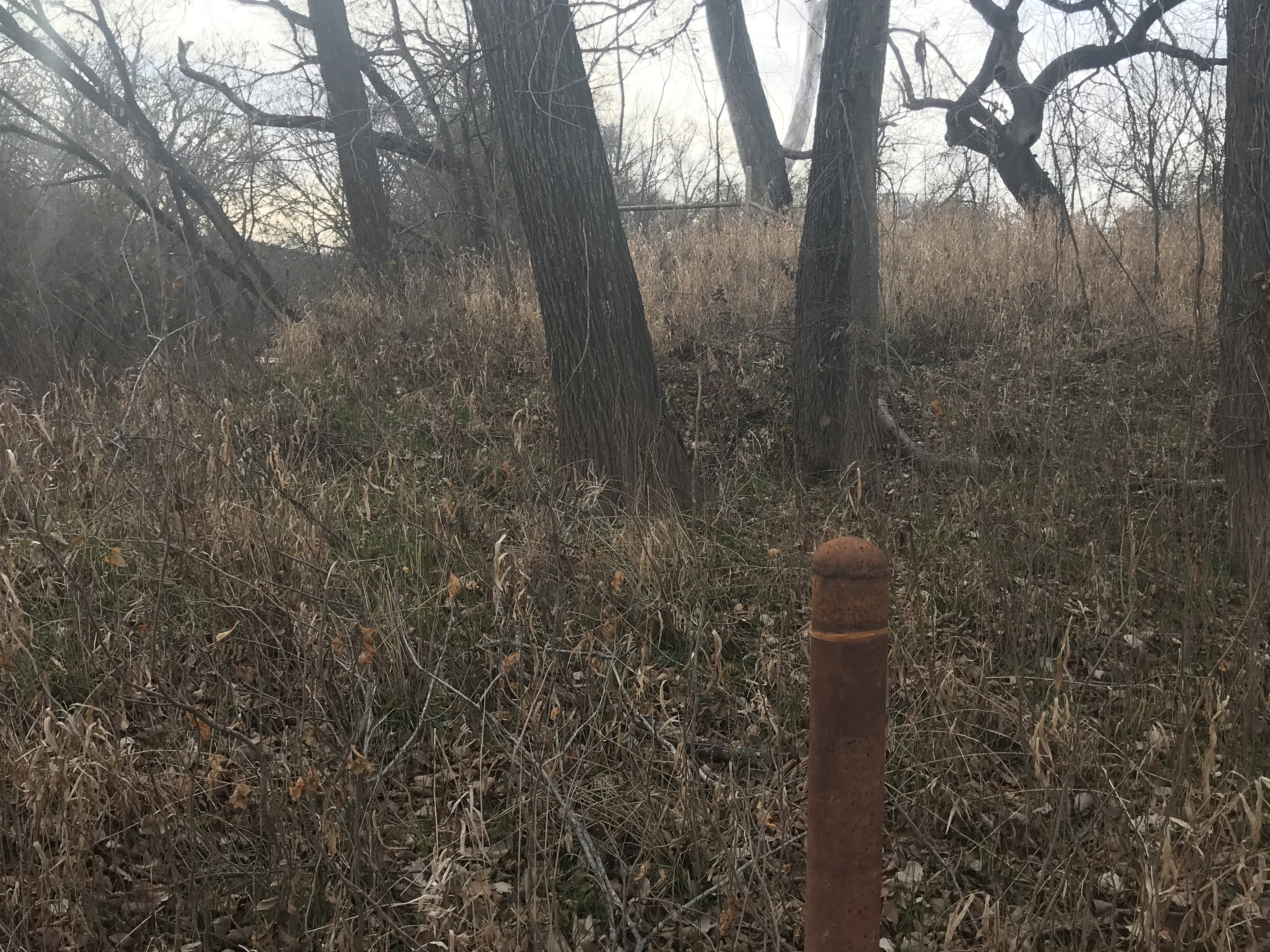 Member content 3 of 15