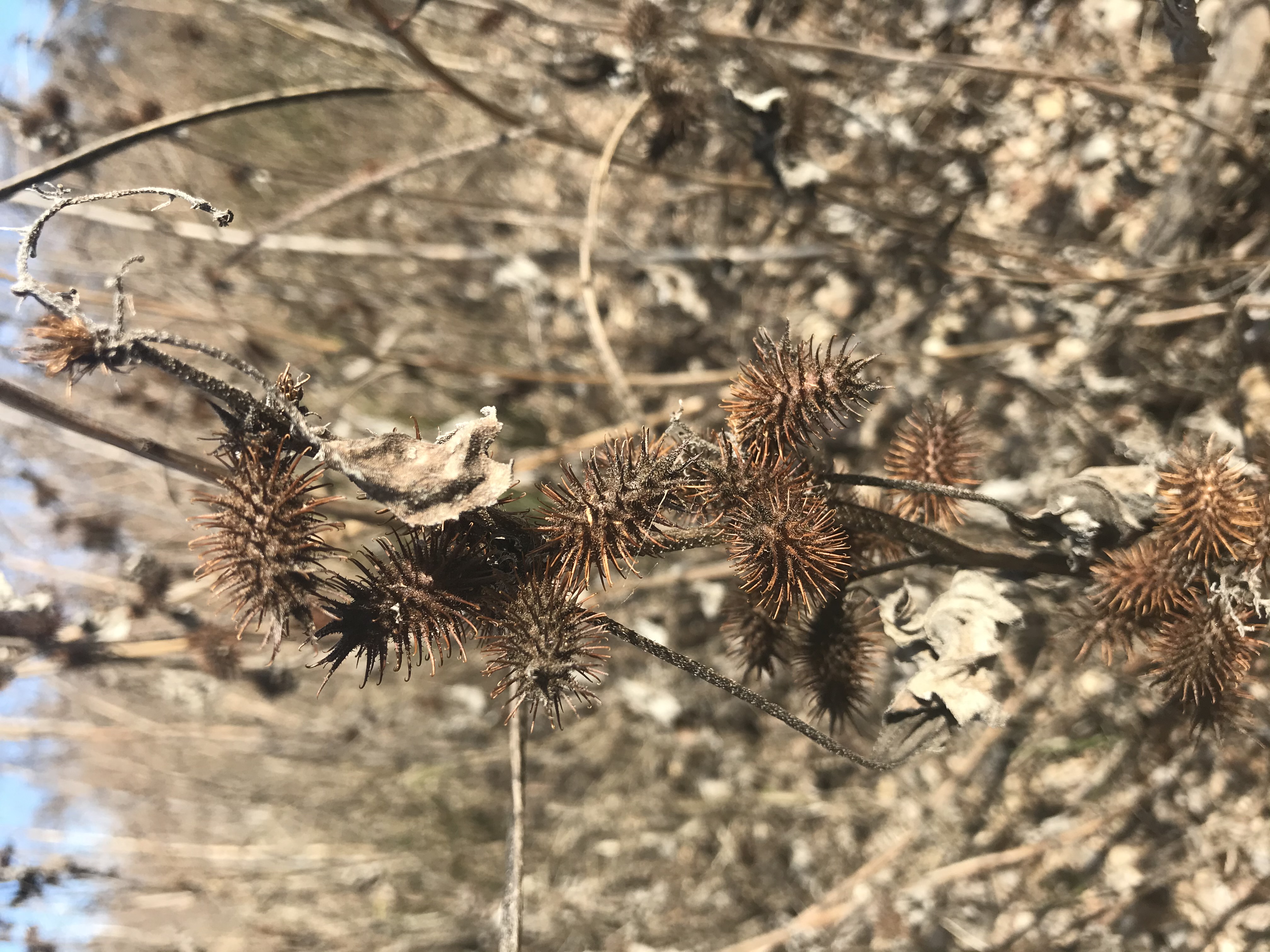 Member content 5 of 15