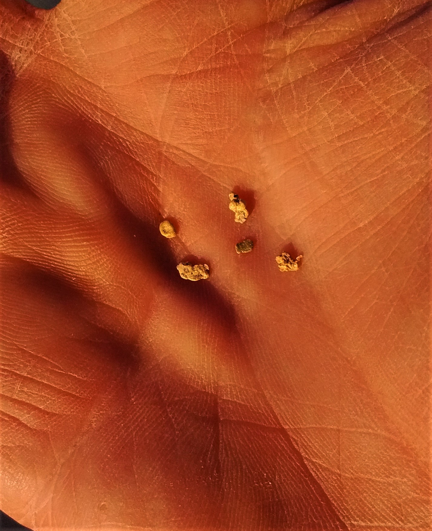 Member content 36 of 206