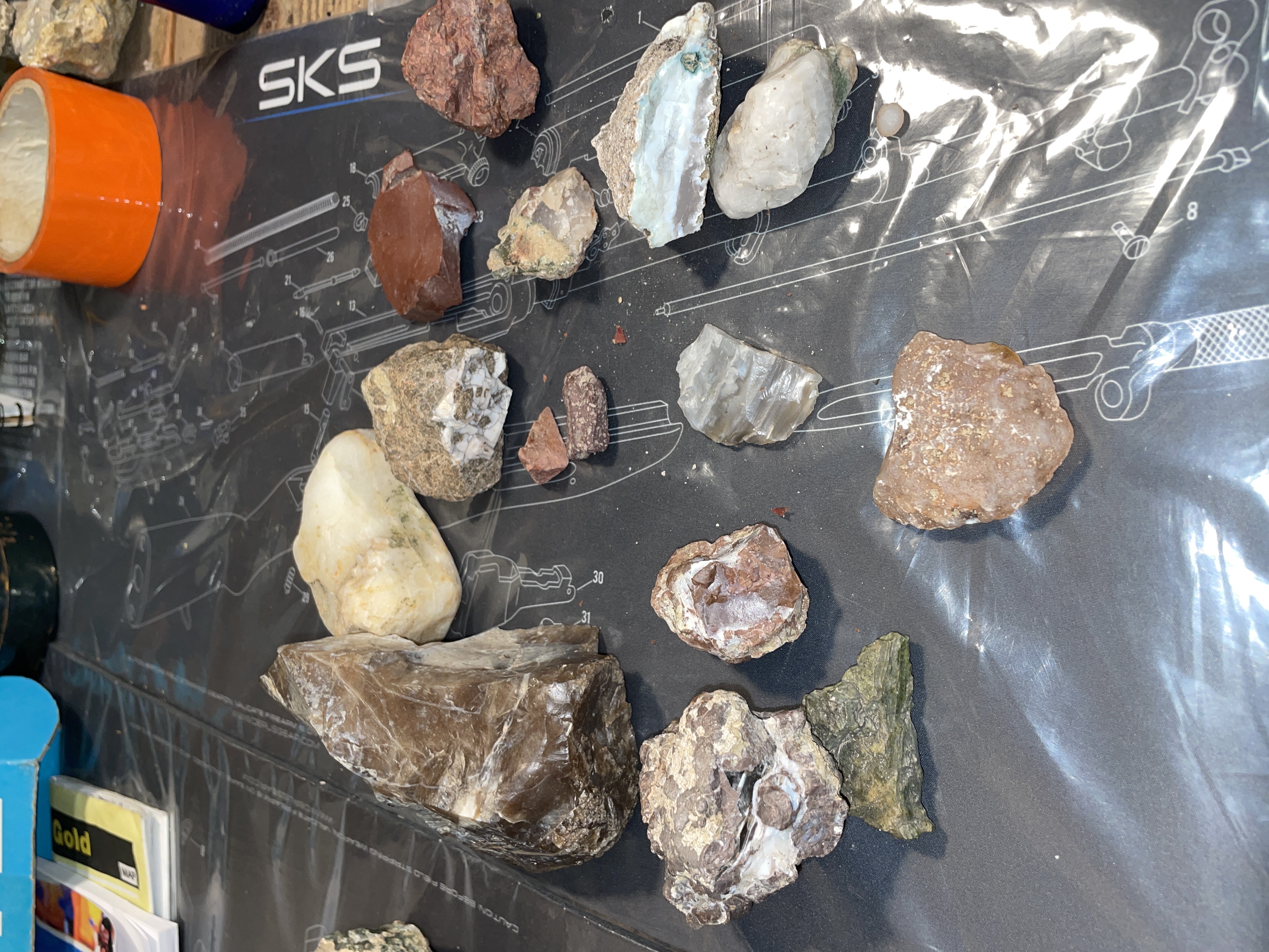 Member content 3 of 10