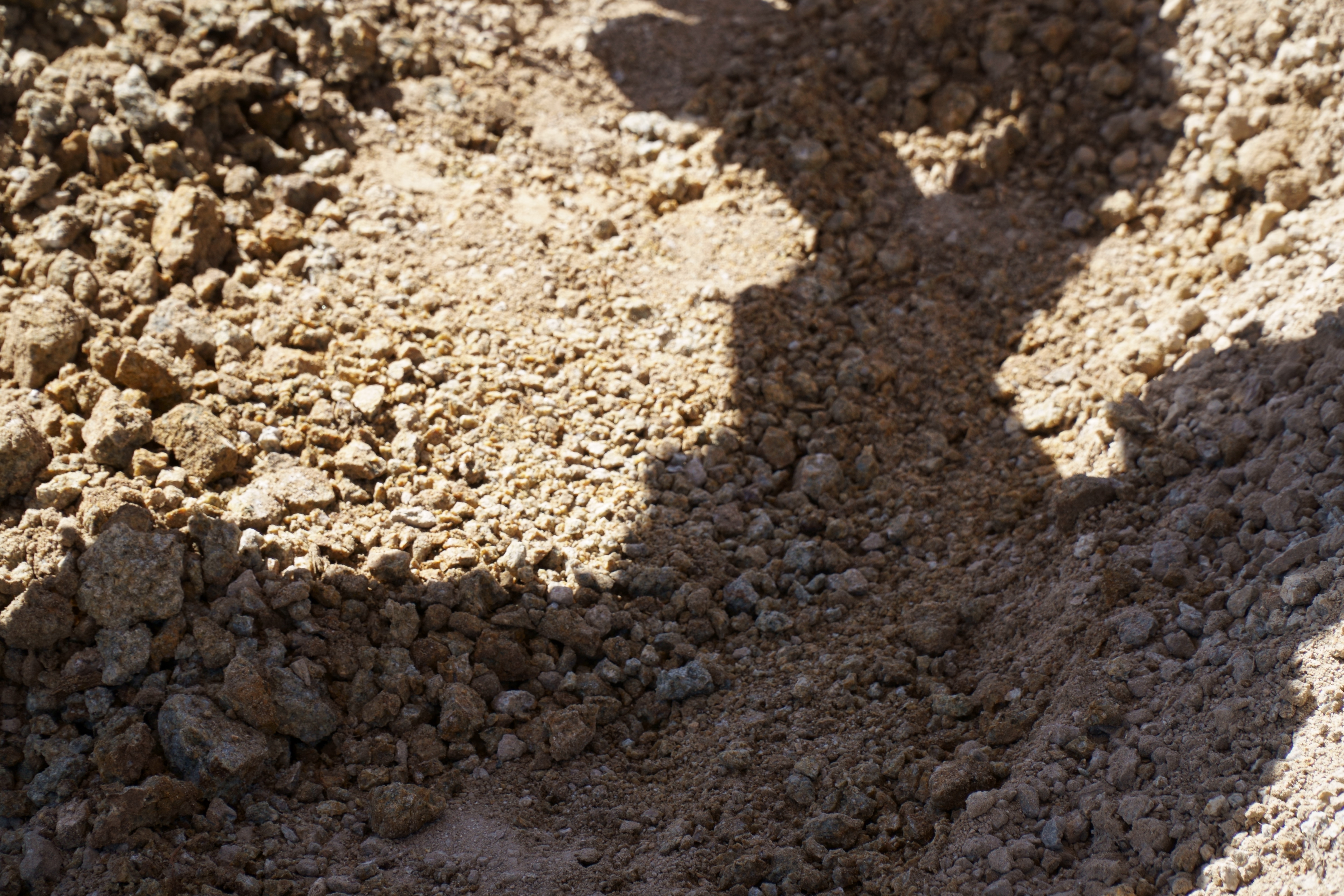 Member content 11 of 206