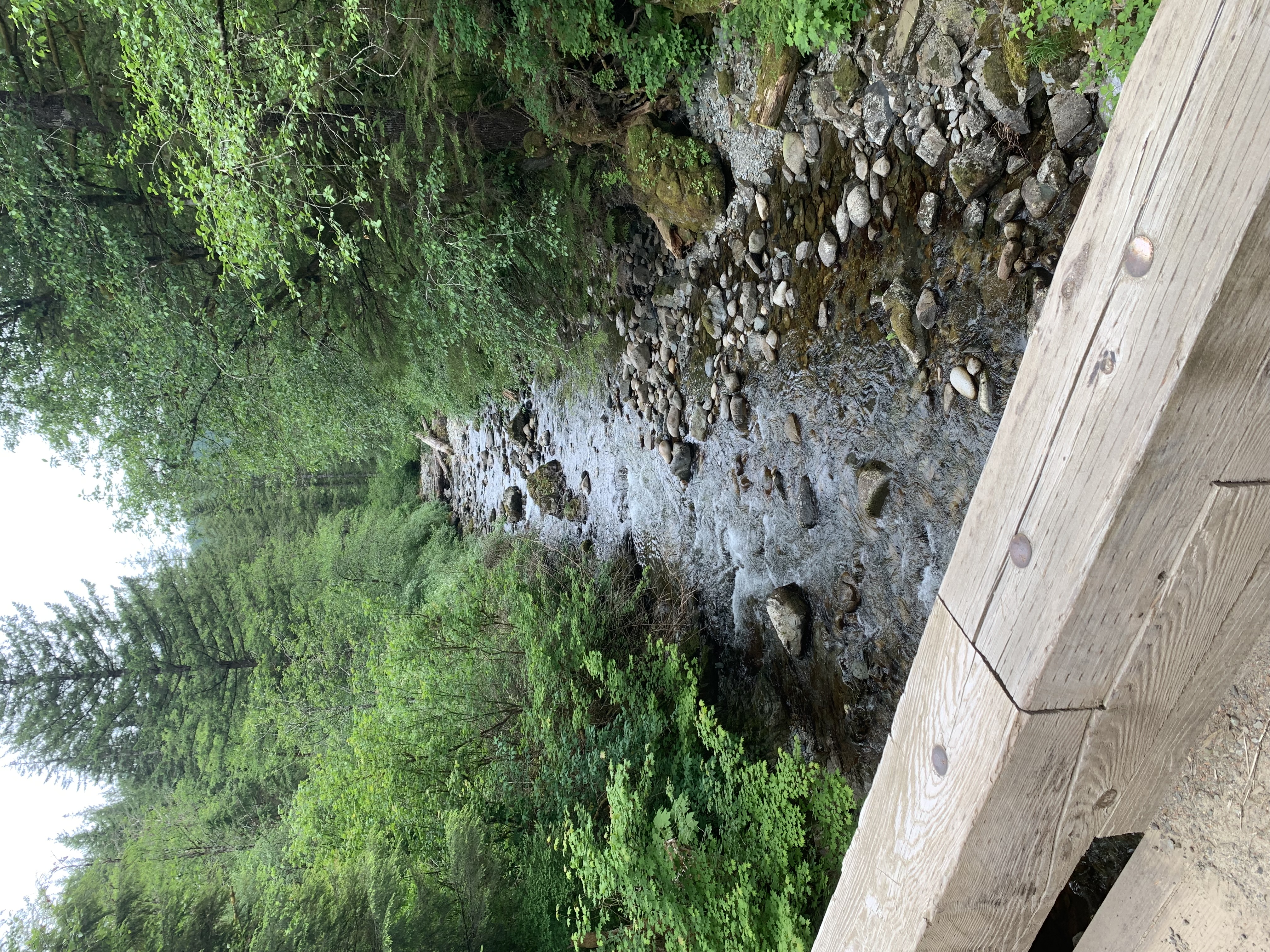 Member content 4 of 5