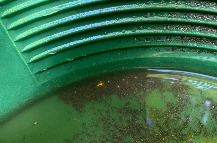 Member content 5 of 8