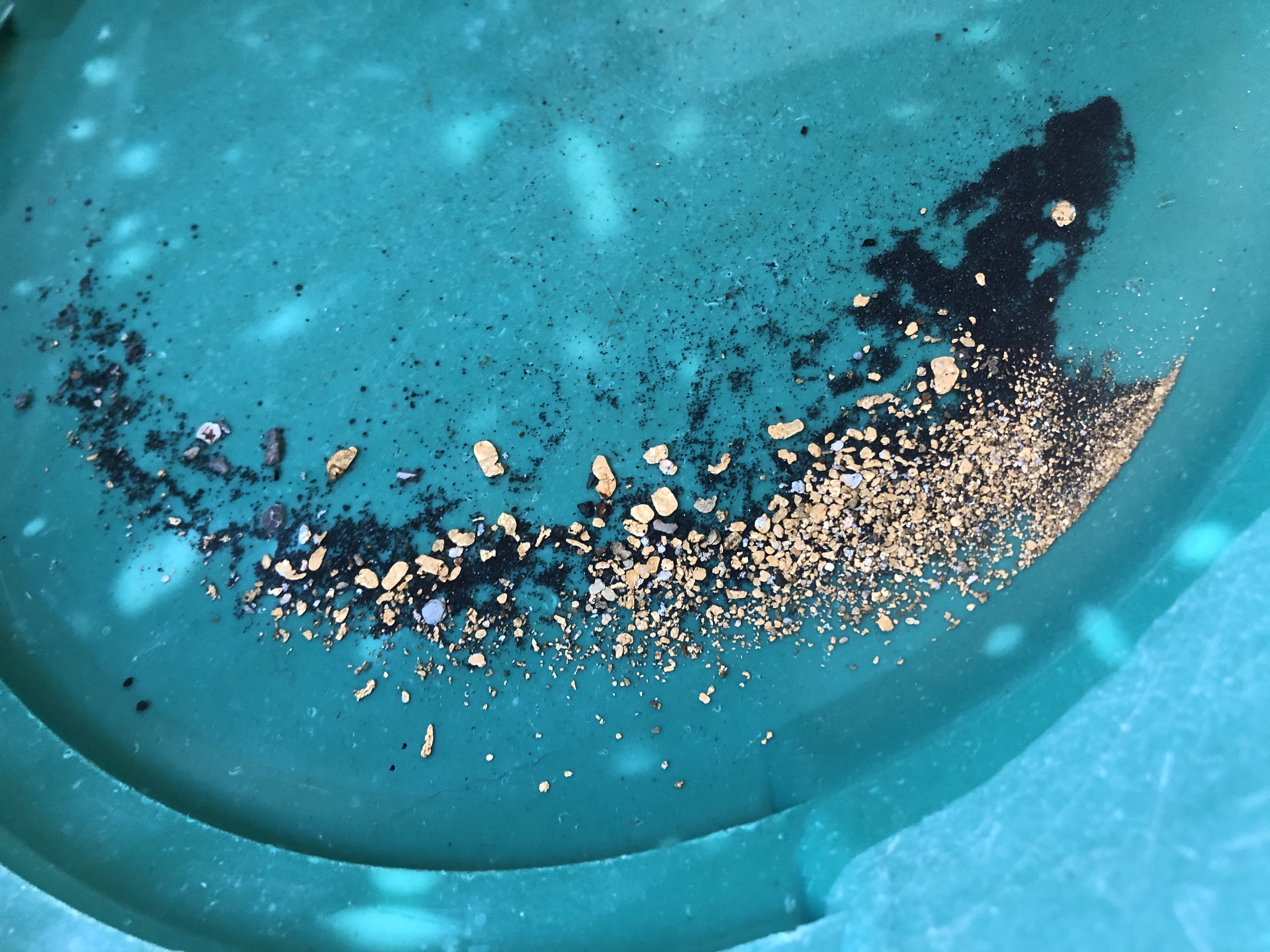 Member content 12 of 23