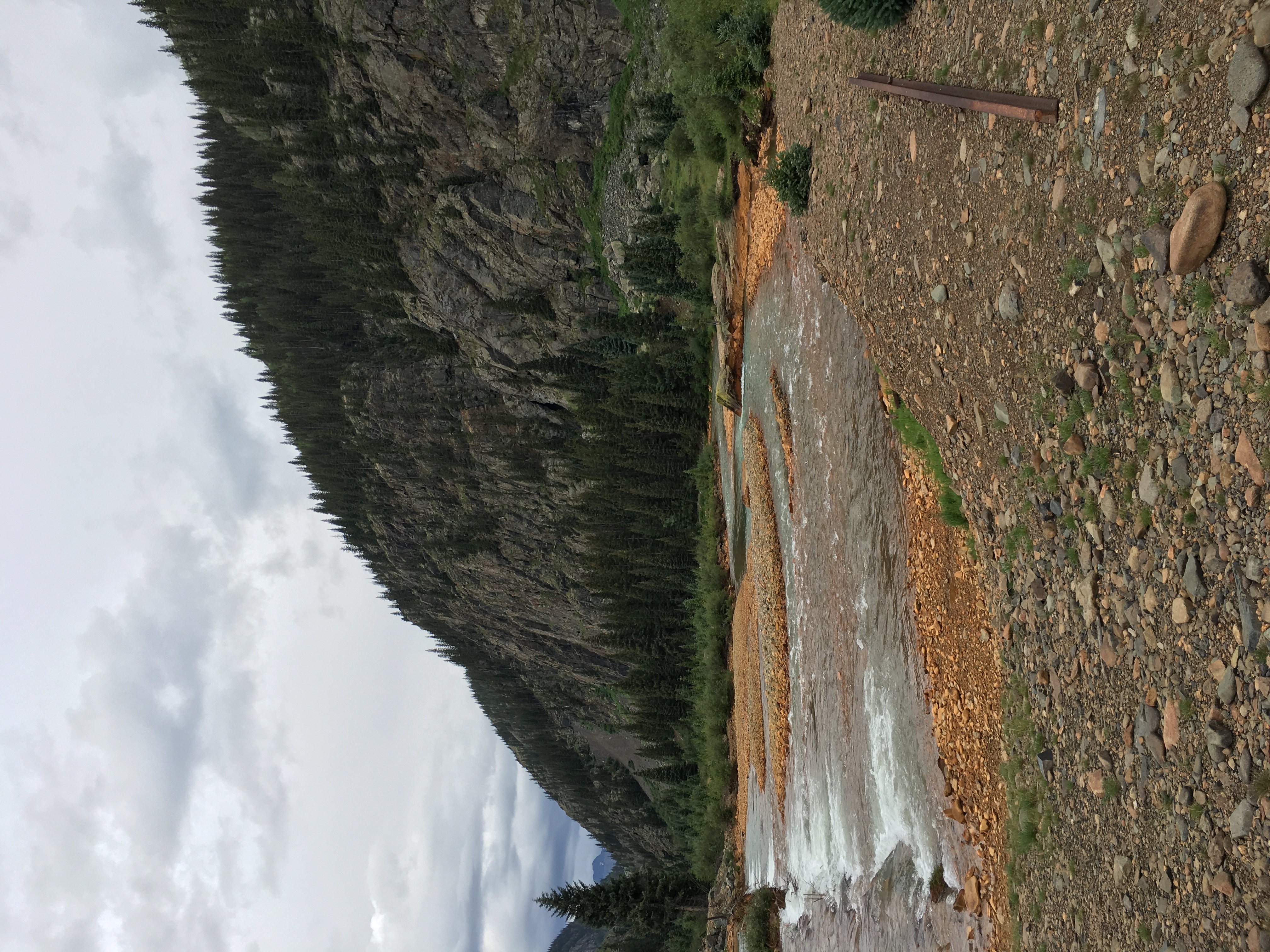 Member content 1 of 5