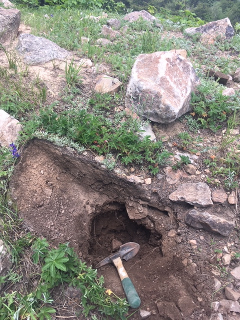 Member content 1 of 10