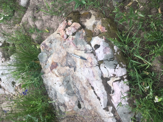 Member content 5 of 10