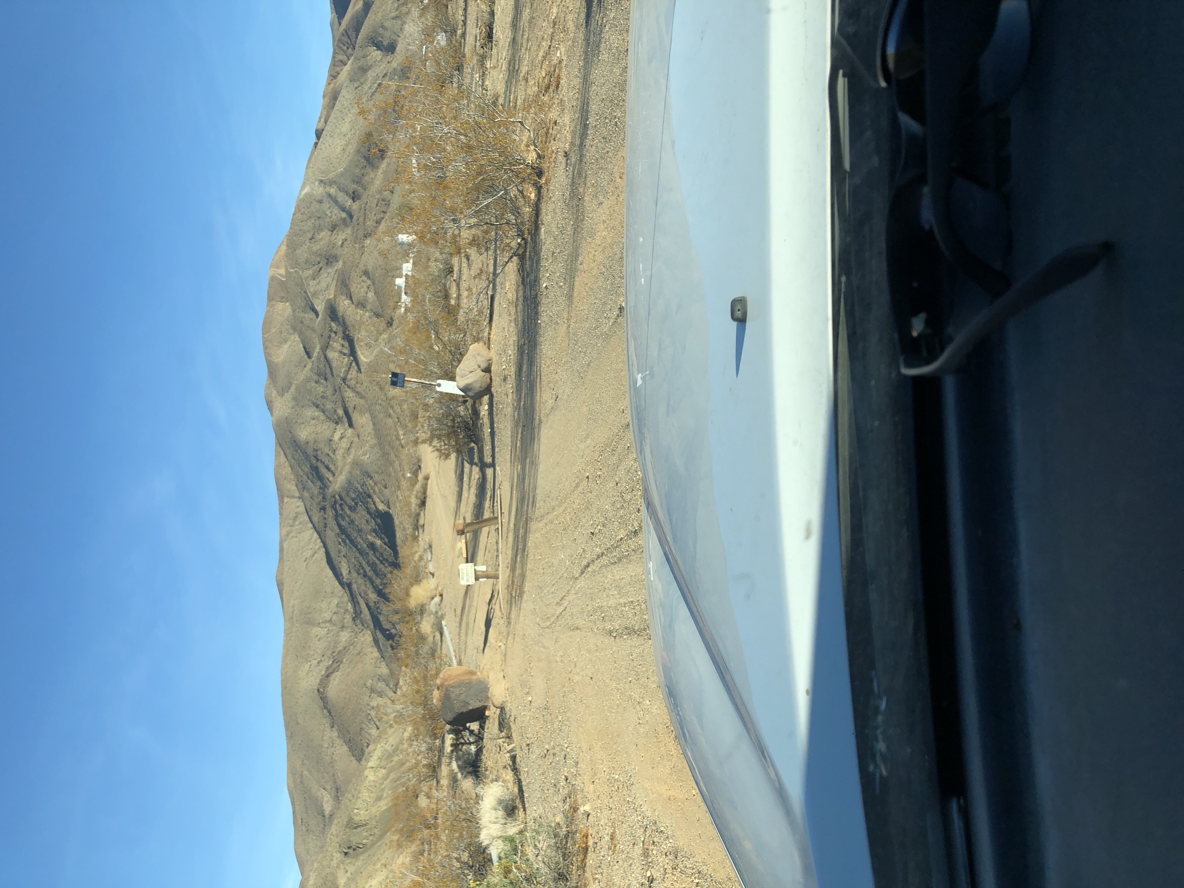 Member content 1 of 1