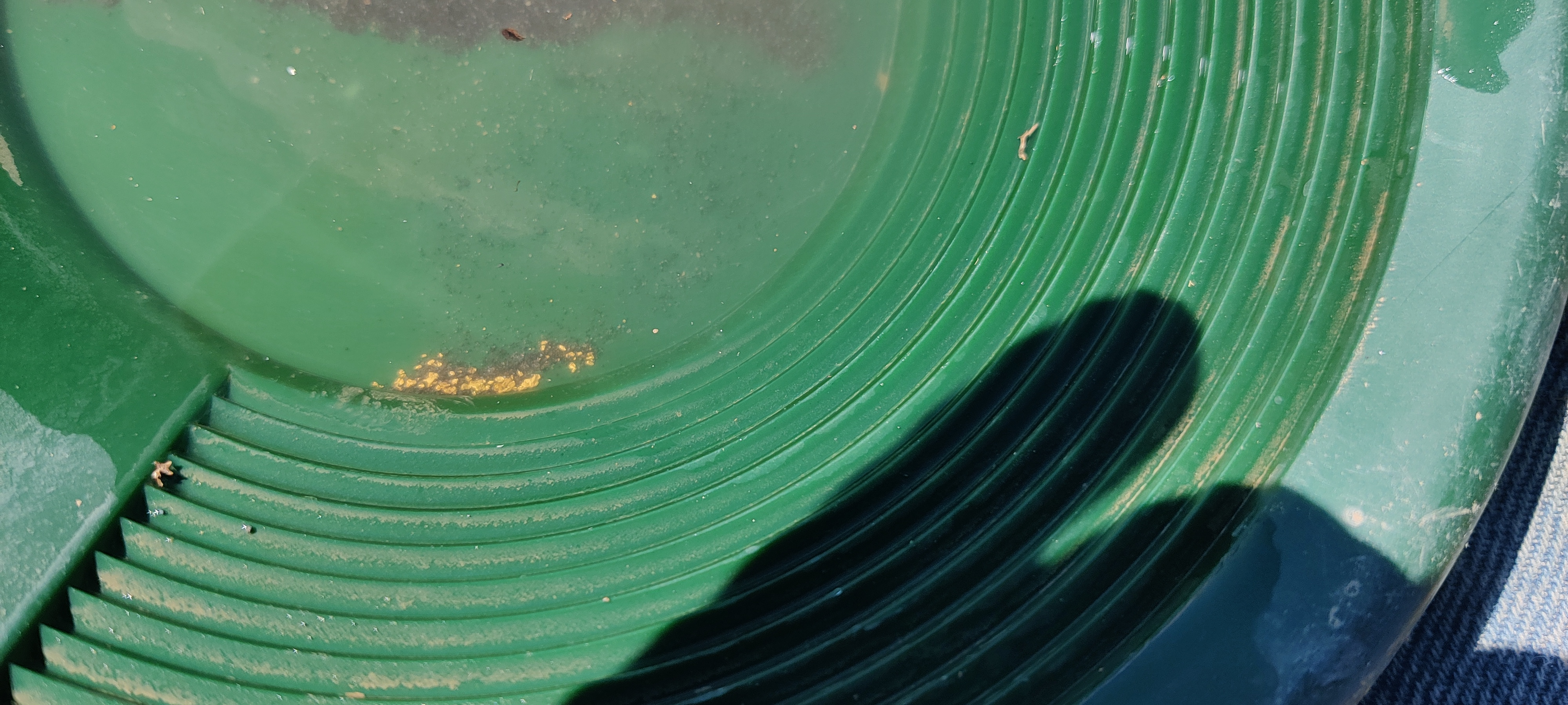 Member content 5 of 12