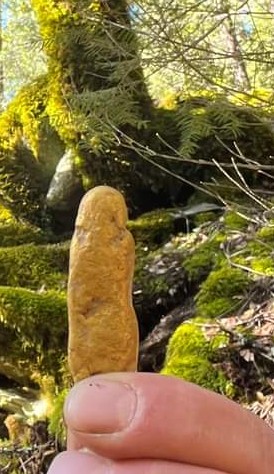 Member content 9 of 12