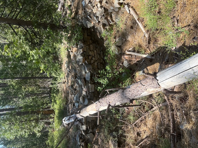 Member content 2 of 2